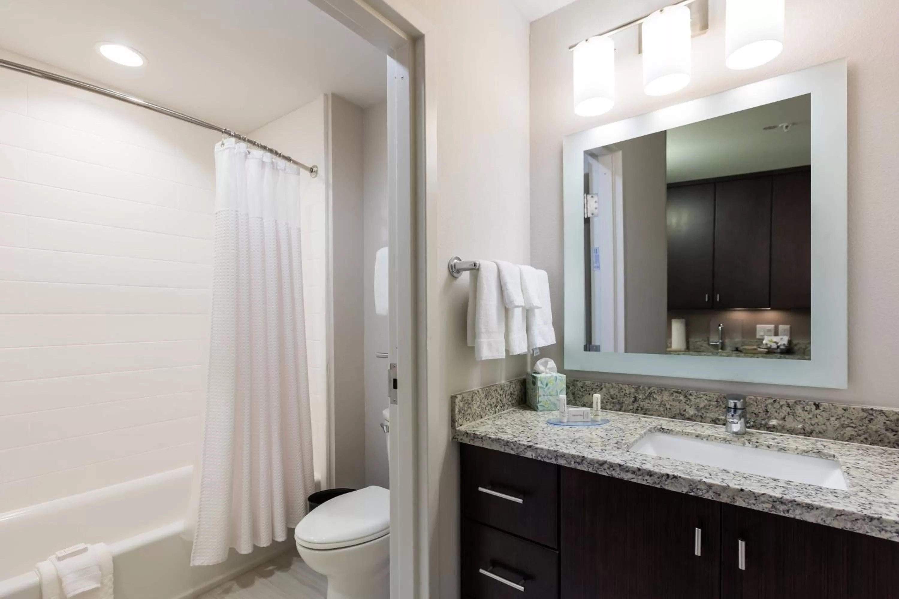 Bathroom in TownePlace Suites by Marriott Orlando at SeaWorld