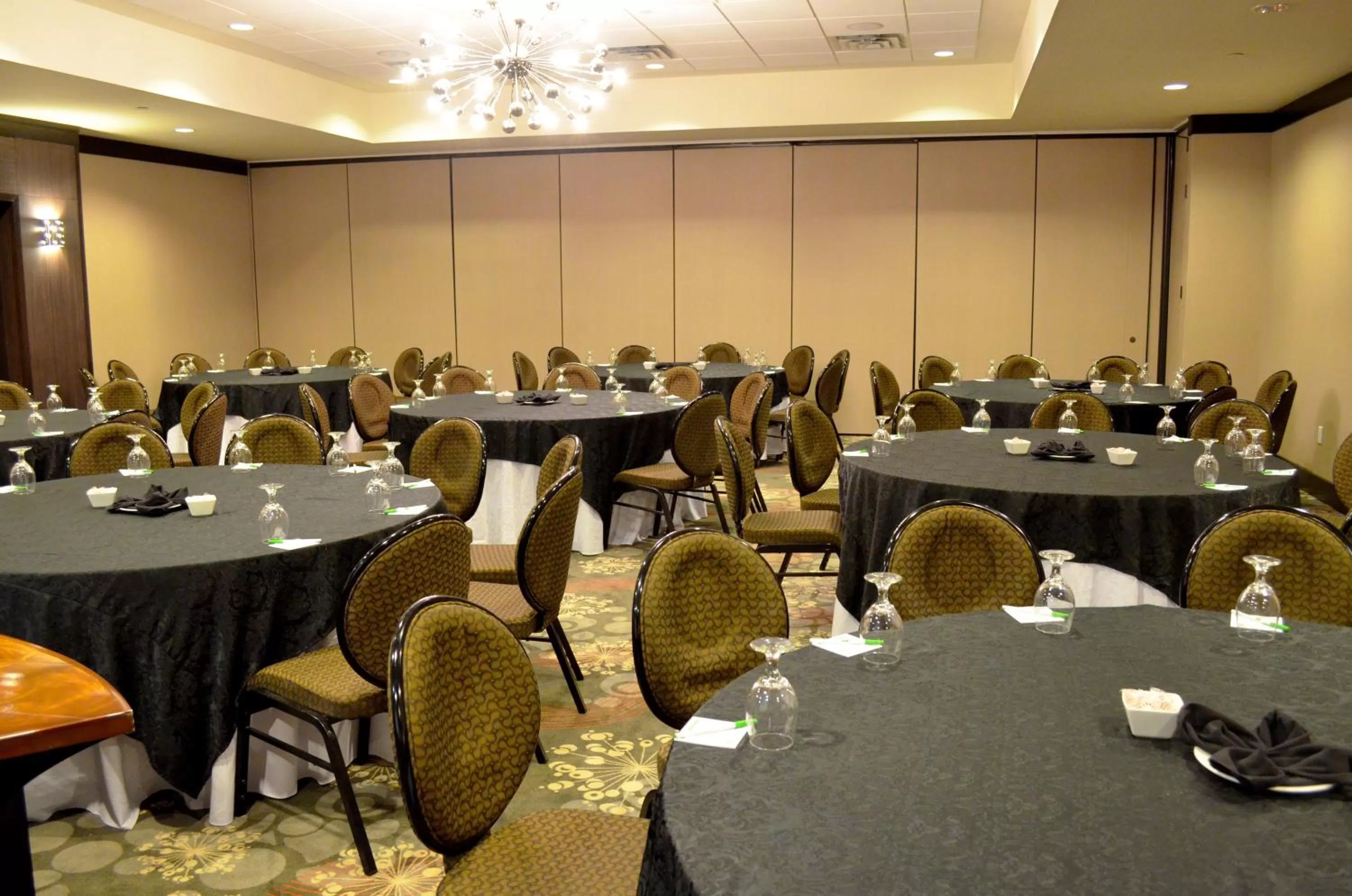 Meeting/conference room in Holiday Inn Houston West - Westway Park by IHG