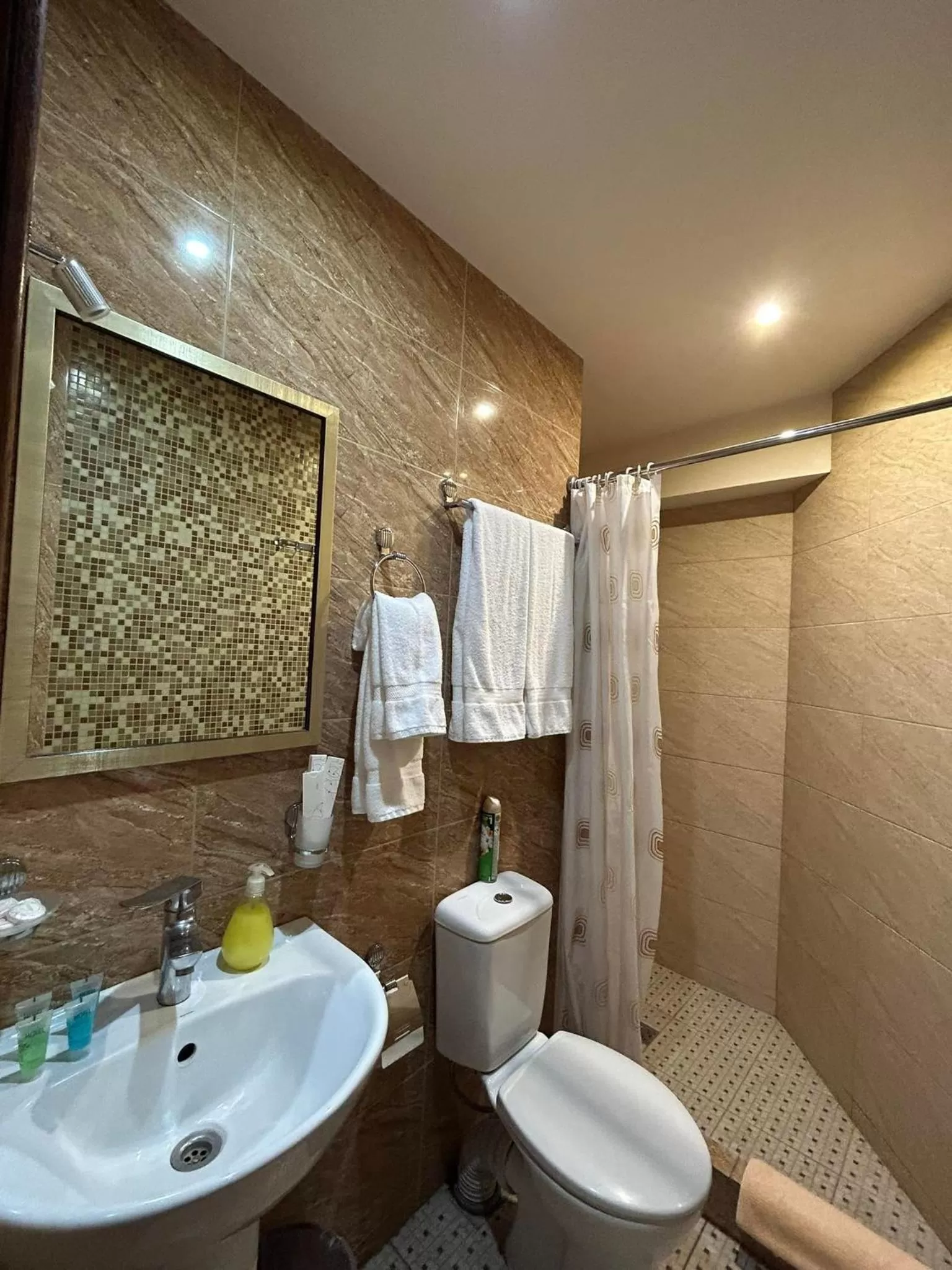 Shower, Bathroom in Time Hotel & Tours