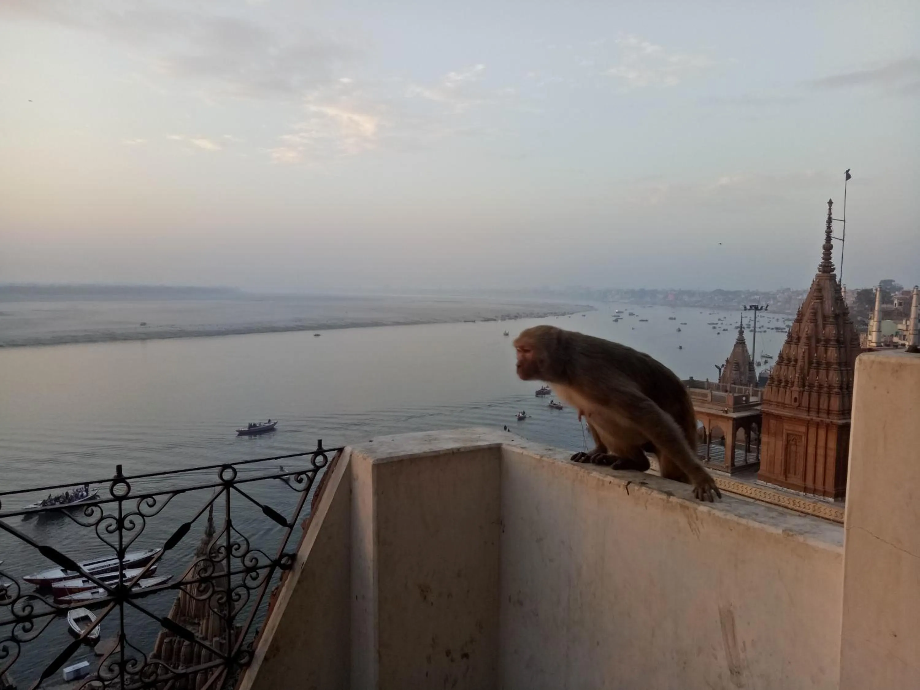 River view in Scindhia Guest House