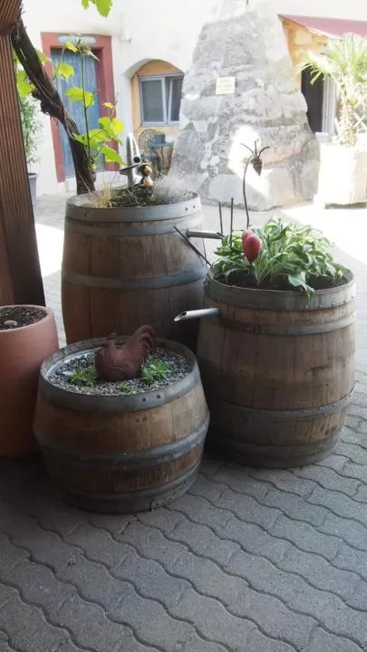 Patio in zum Schwanen Garni