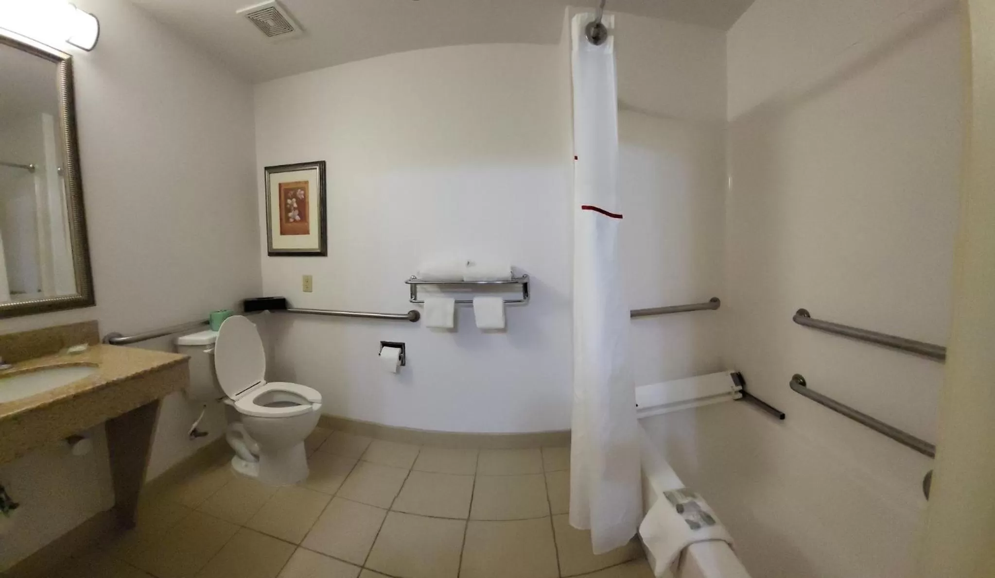 Bathroom in Red Roof Inn & Suites Midland