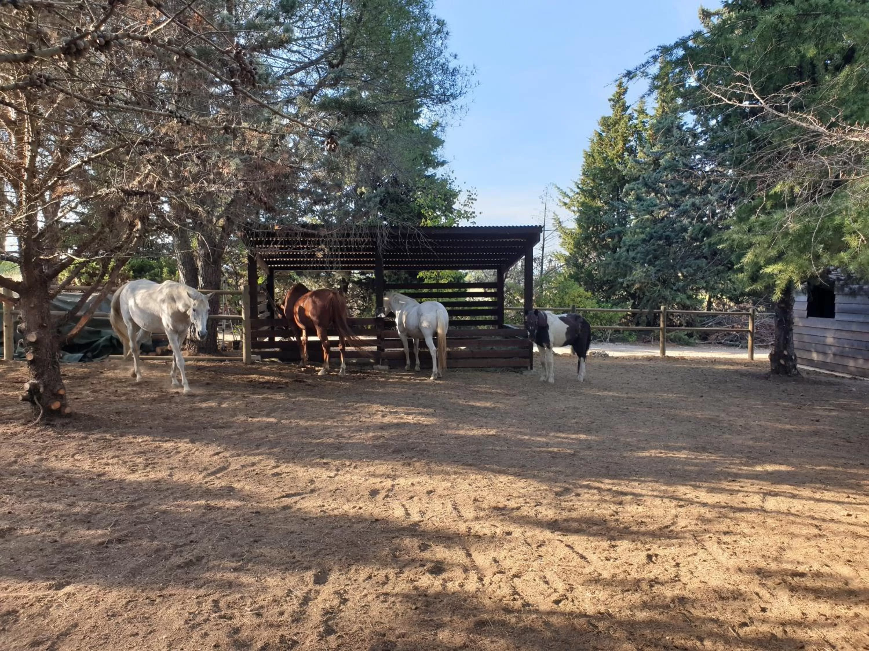 Other Animals in Chambre d'hôtes dans propriété rurale - Provence