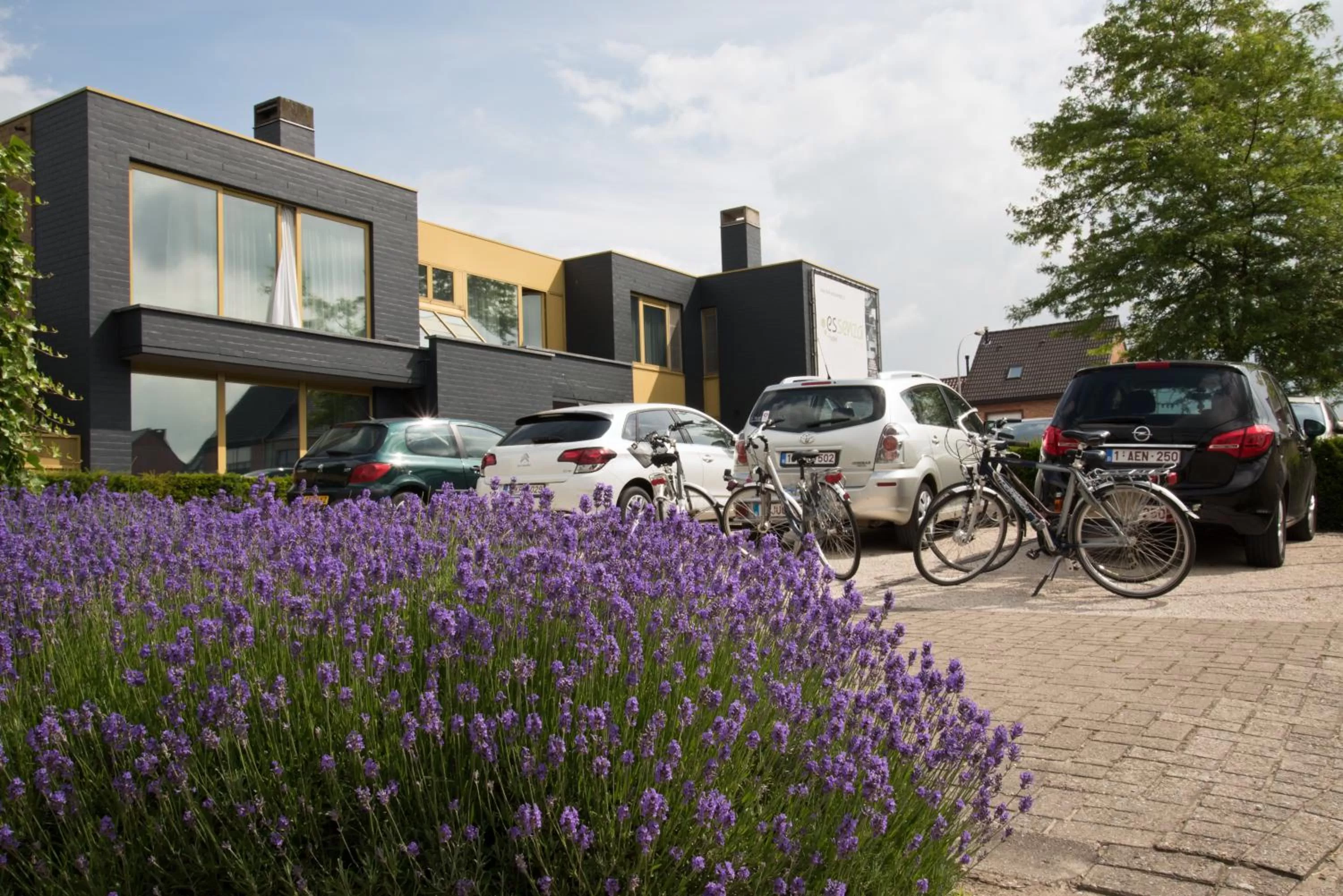 Summer in Hotel Essenza