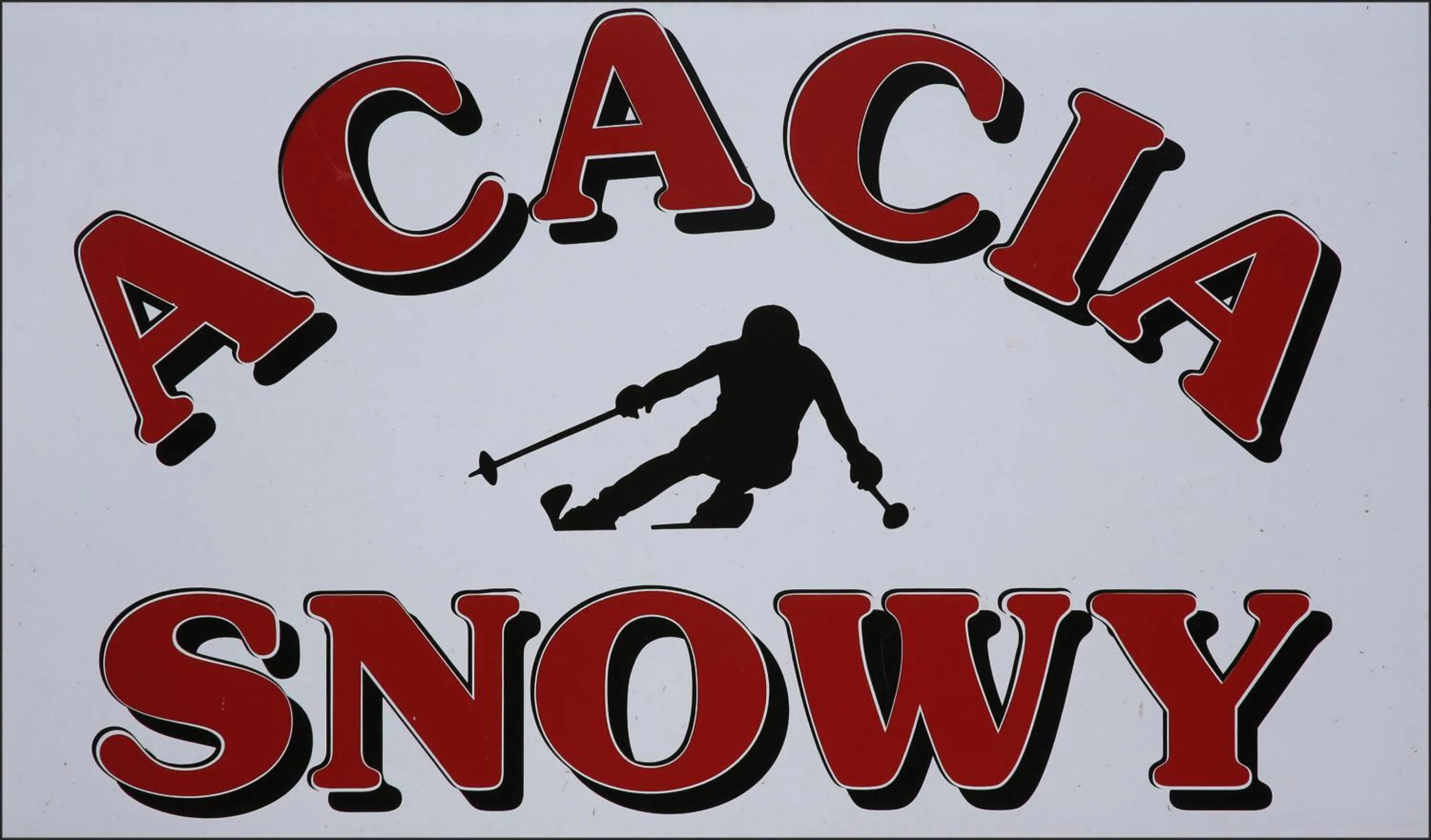 Facade/entrance in Acacia Snowy Motel