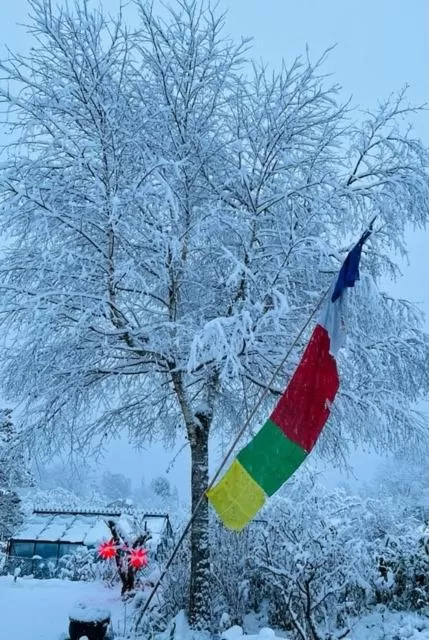 Natural landscape in Bed and Breakfast Bavaria München