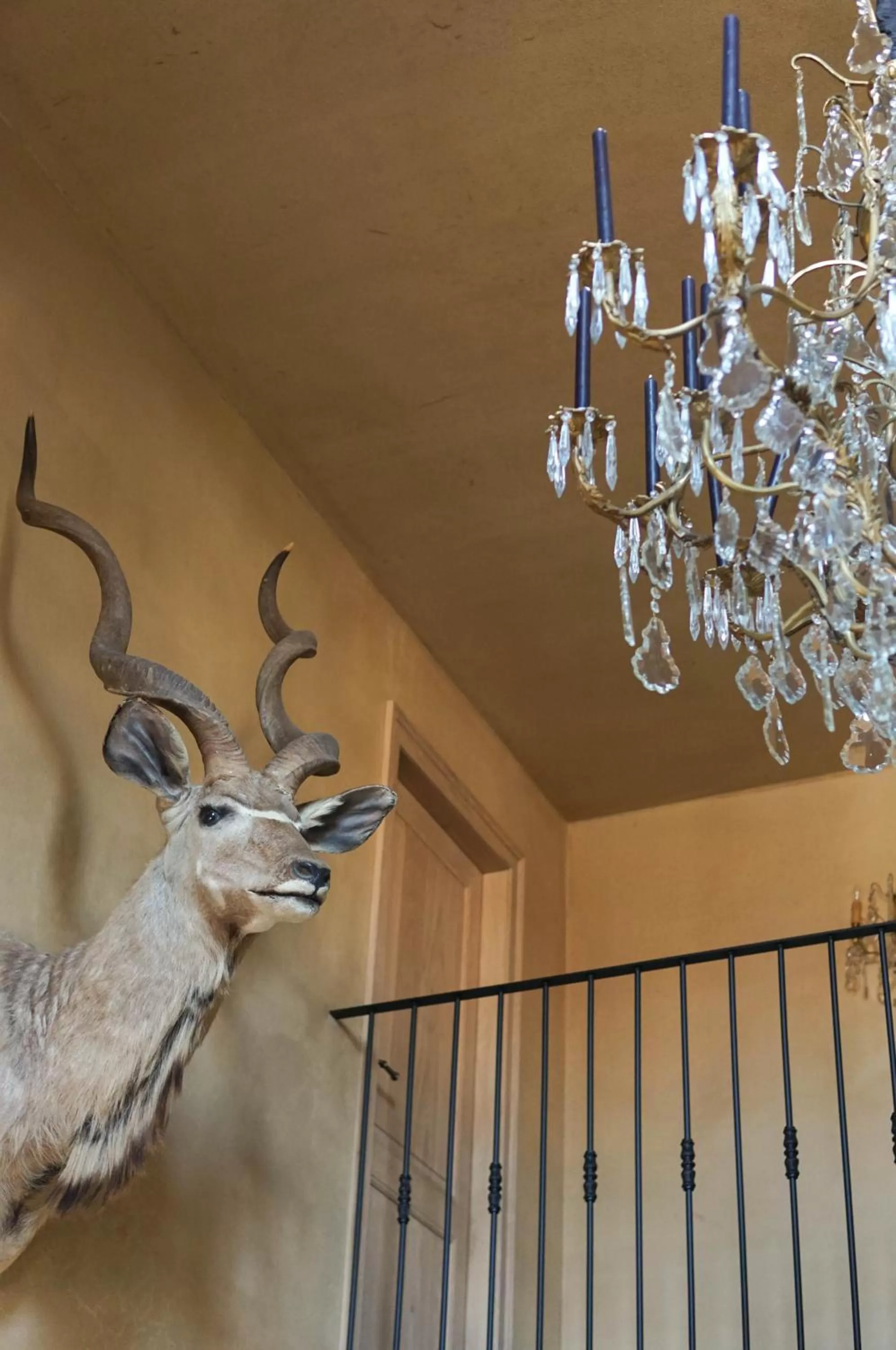 Decorative detail in Boutique Hotel De Brakelhoen