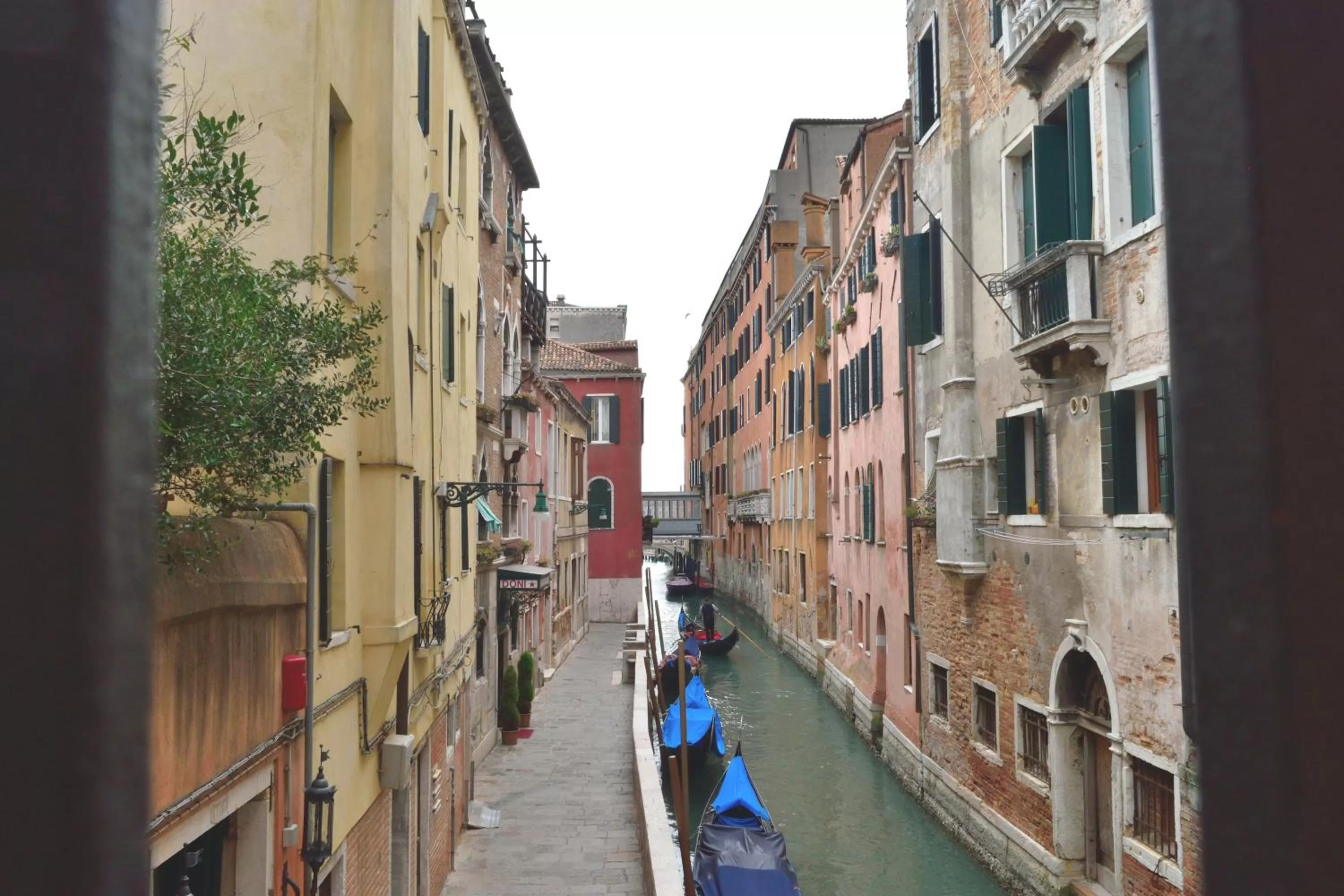 View (from property/room) in Hotel Le Isole