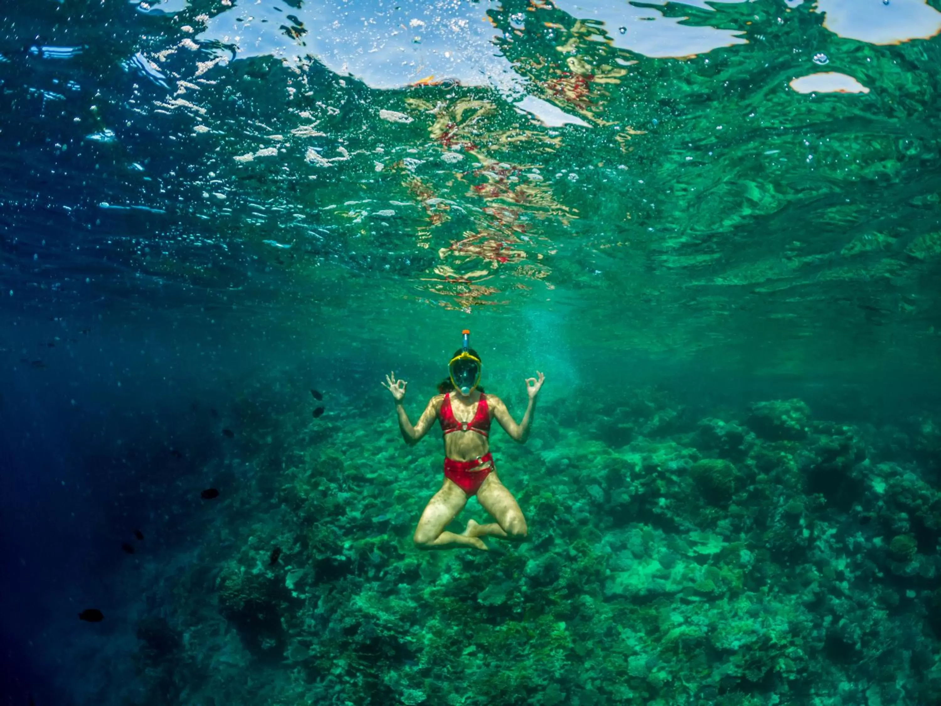 Snorkeling in Rixos Sharm El Sheikh - Ultra All Inclusive Adults Only 18 Plus