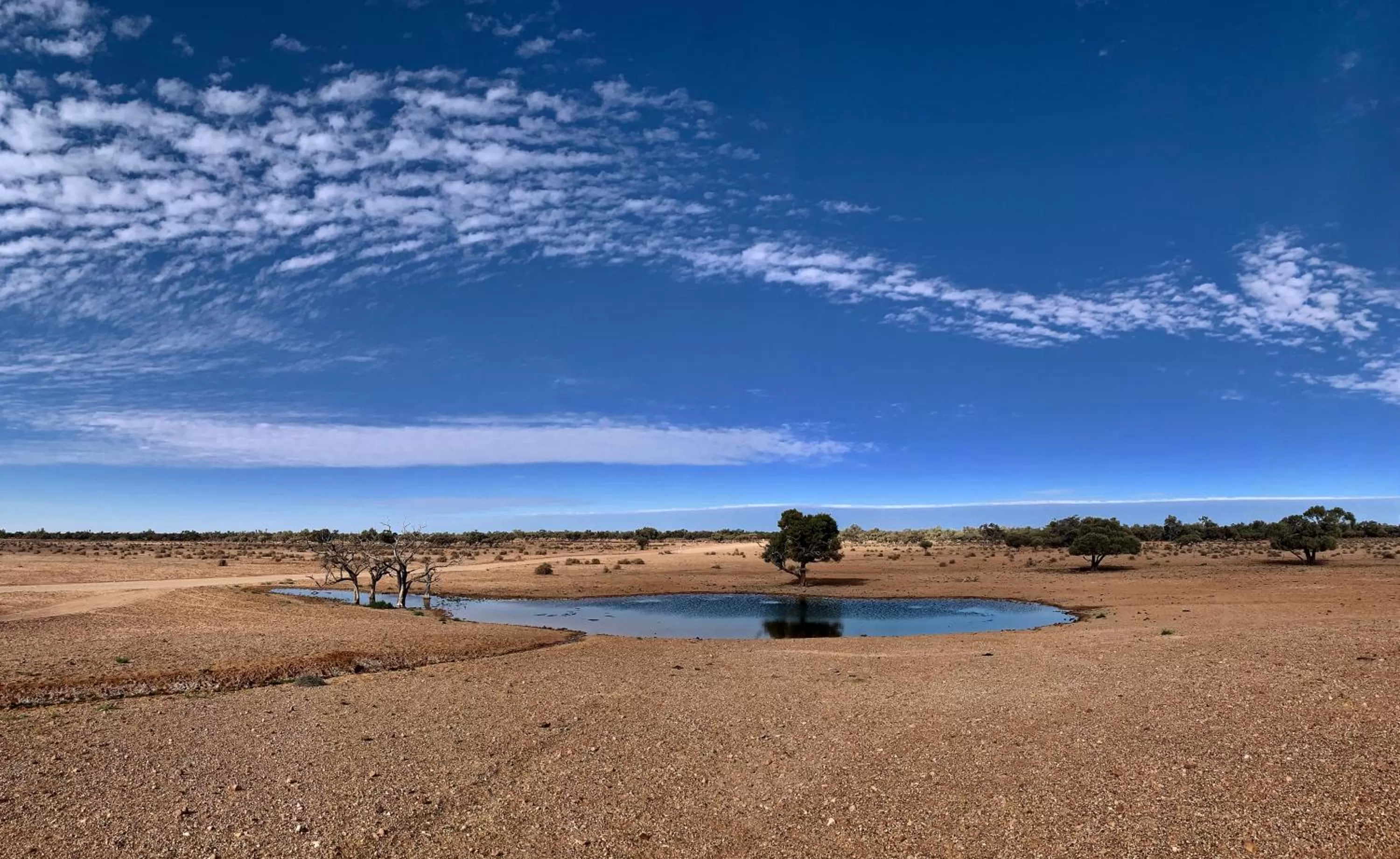 Natural landscape in Opal Inn Hotel, Motel, Caravan Park