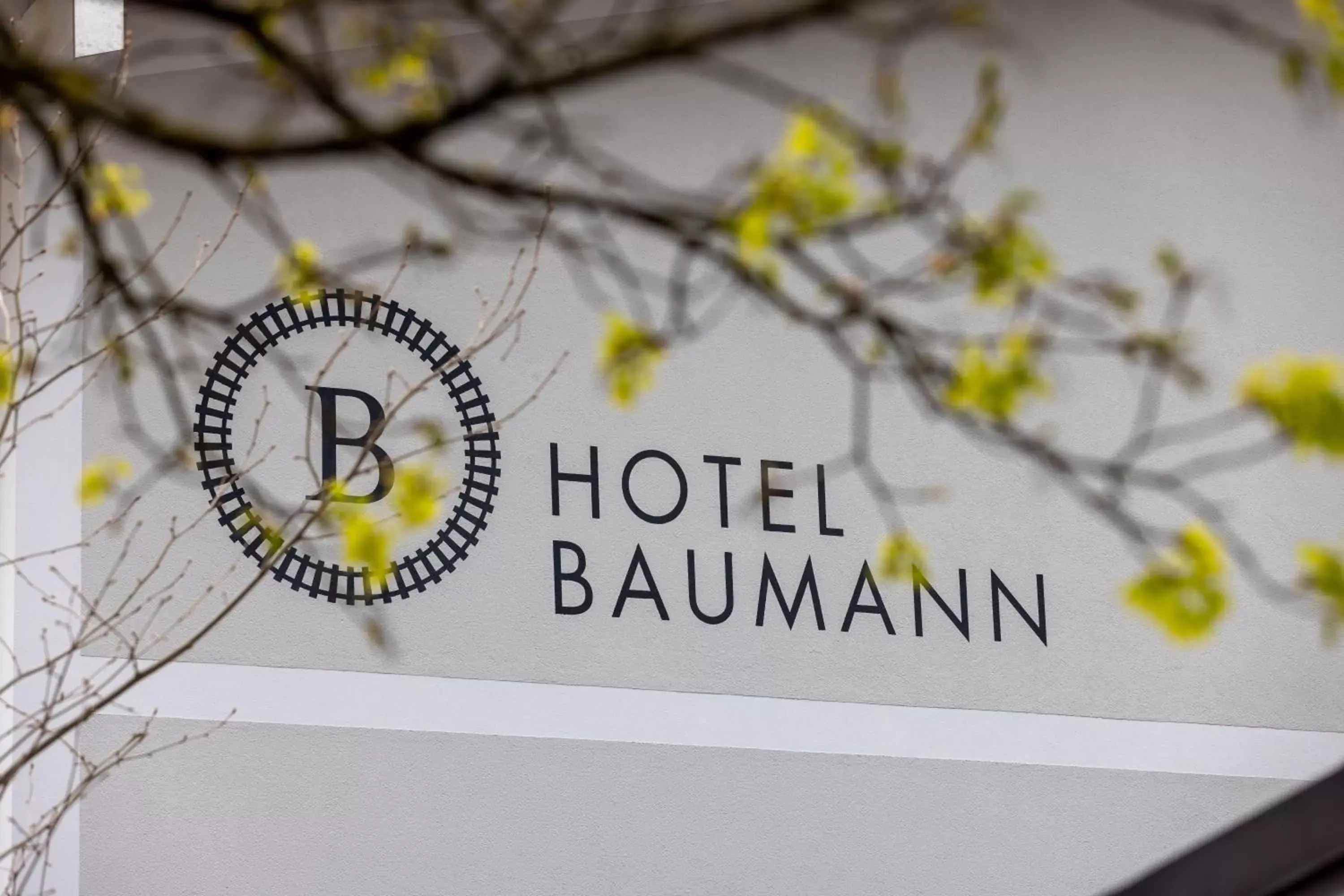 Hotel Baumann Hotel Baumann