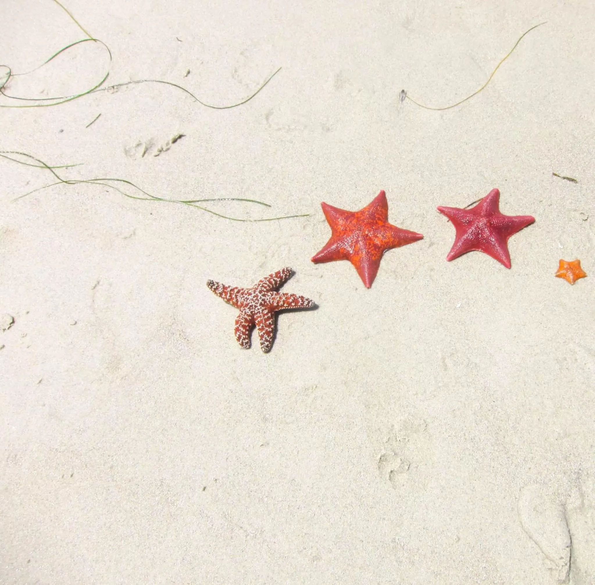 Day in Carmel Fireplace Inn