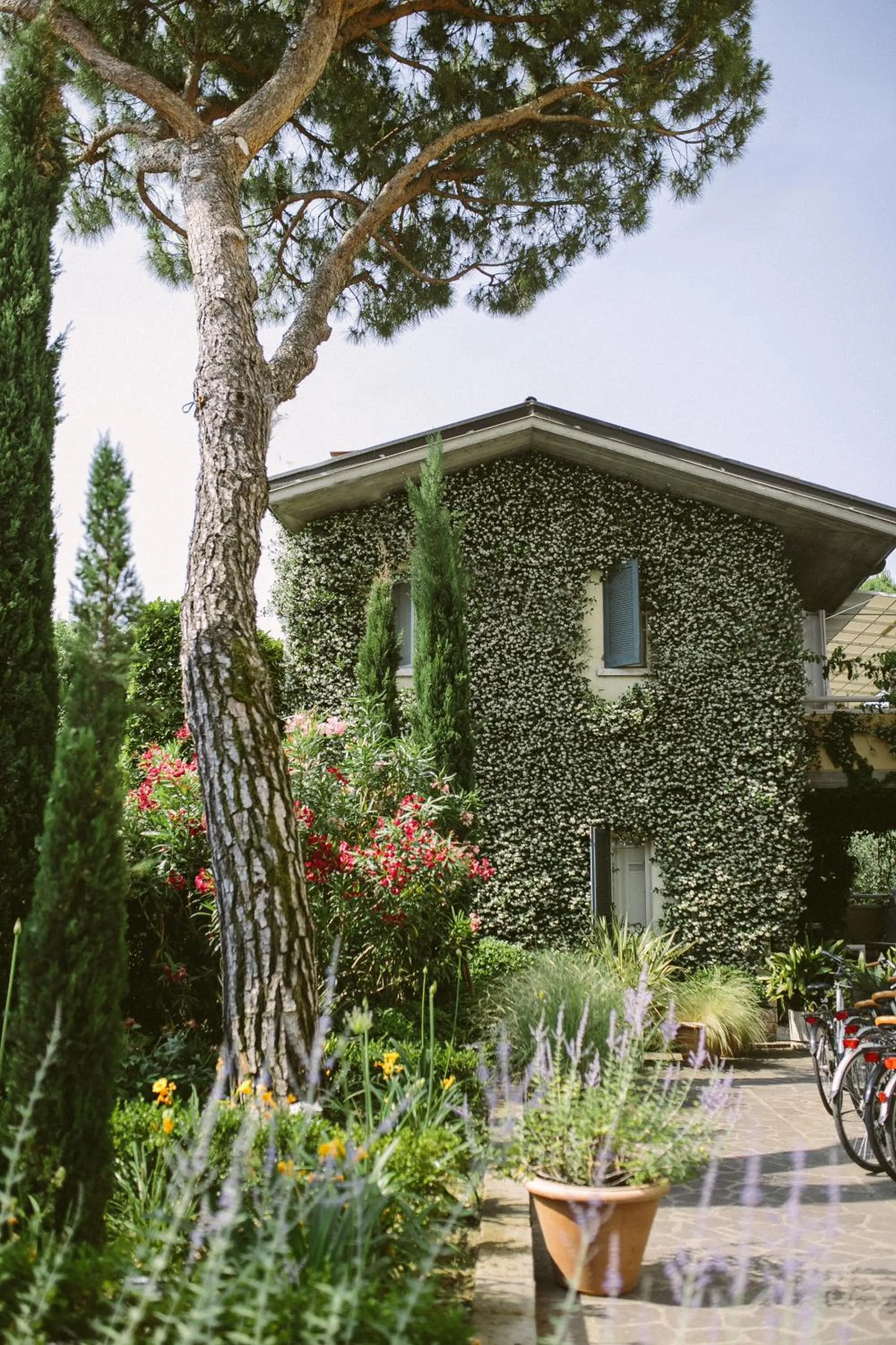 Property building in Hotel Piccola Vela