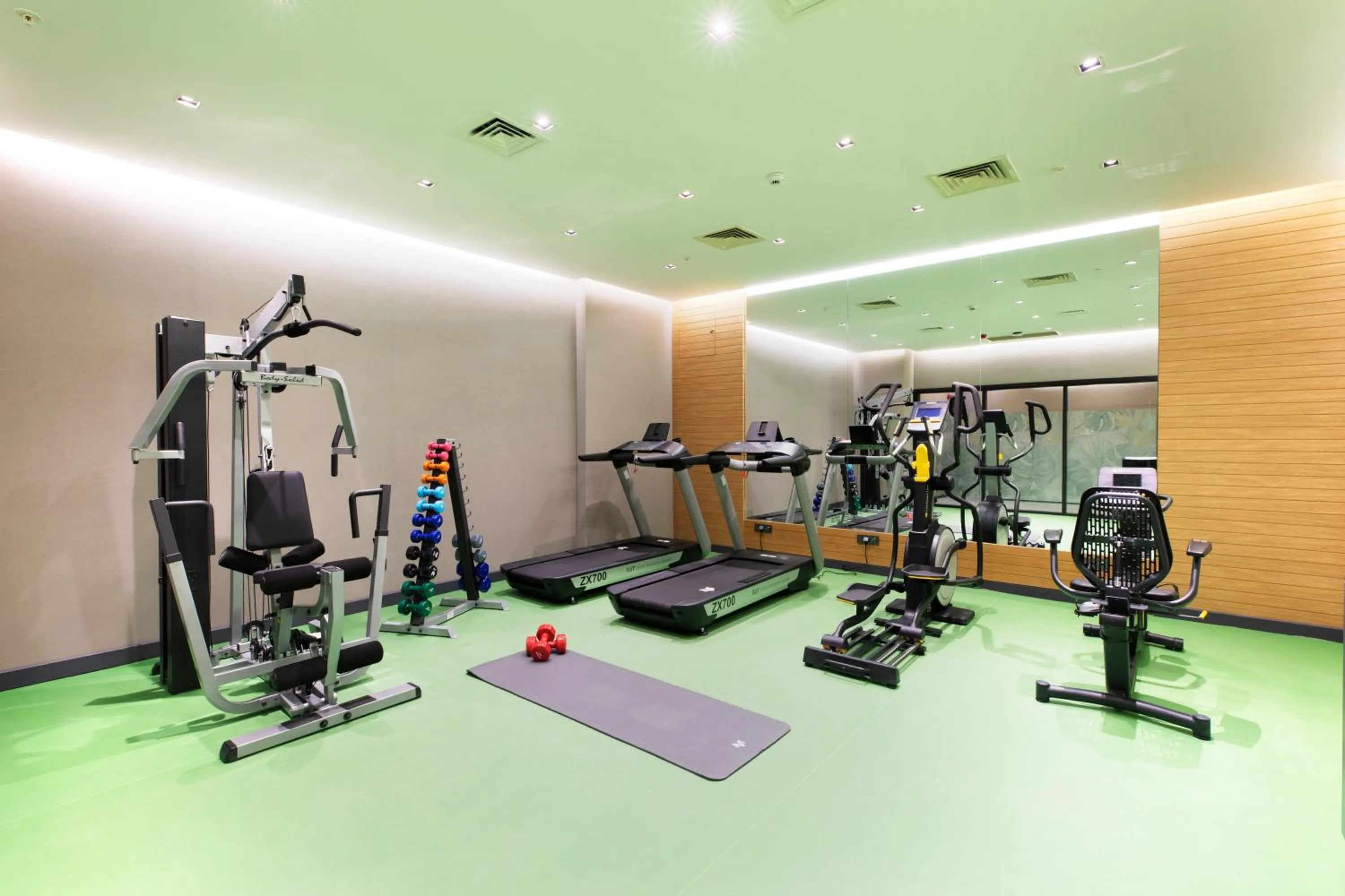 Fitness centre/facilities in Ibis Styles Istanbul Atasehir