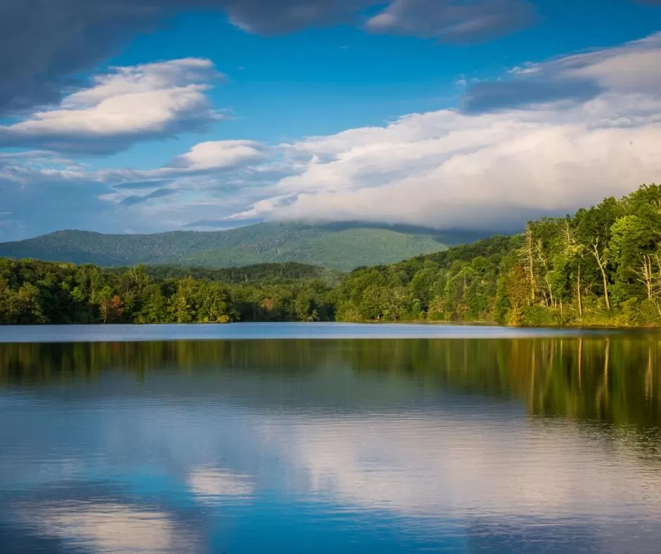 Natural landscape in Meadowbrook Inn