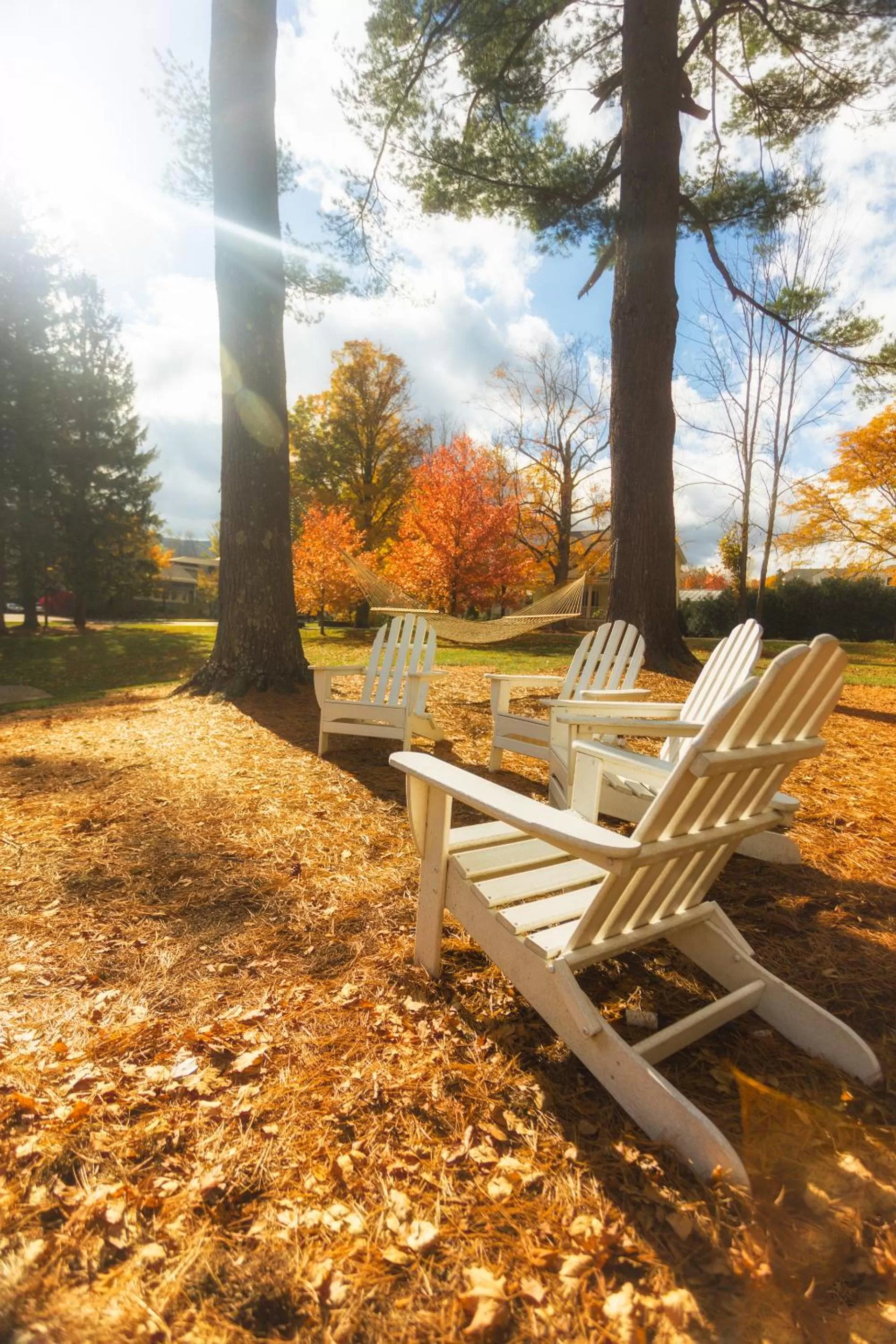 View (from property/room), Garden in The Inn at Manchester