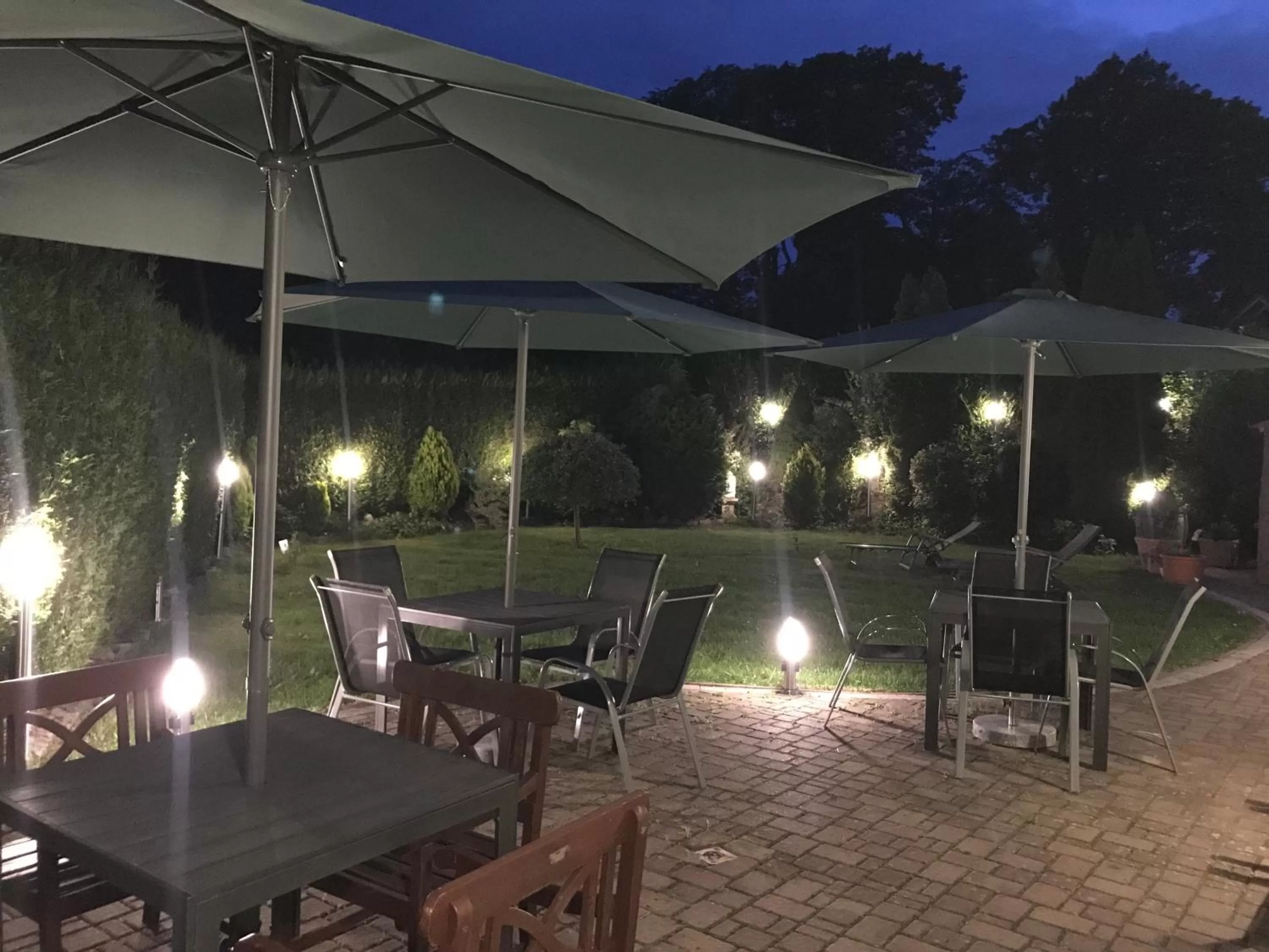 Garden in Hotel am Schloss - Frankfurt an der Oder