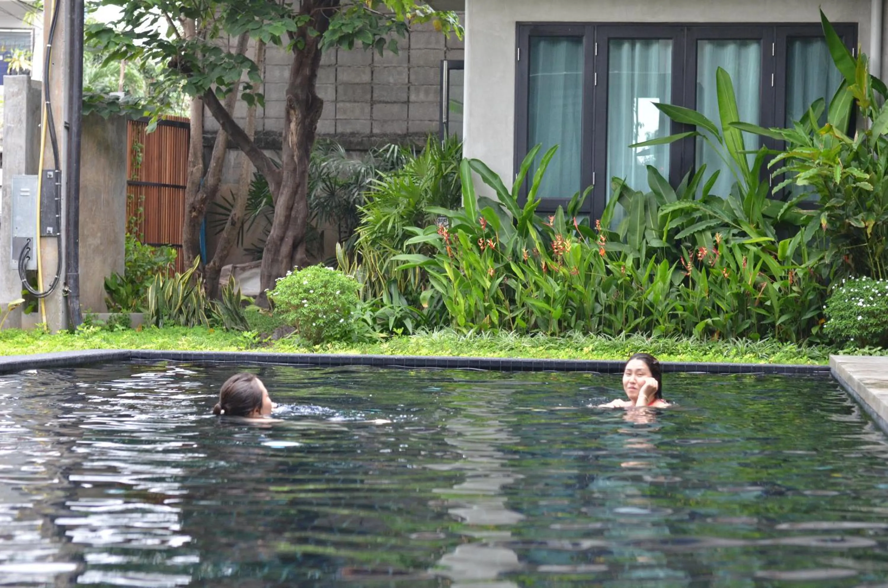 Swimming pool in Lamphu House Chiang Mai