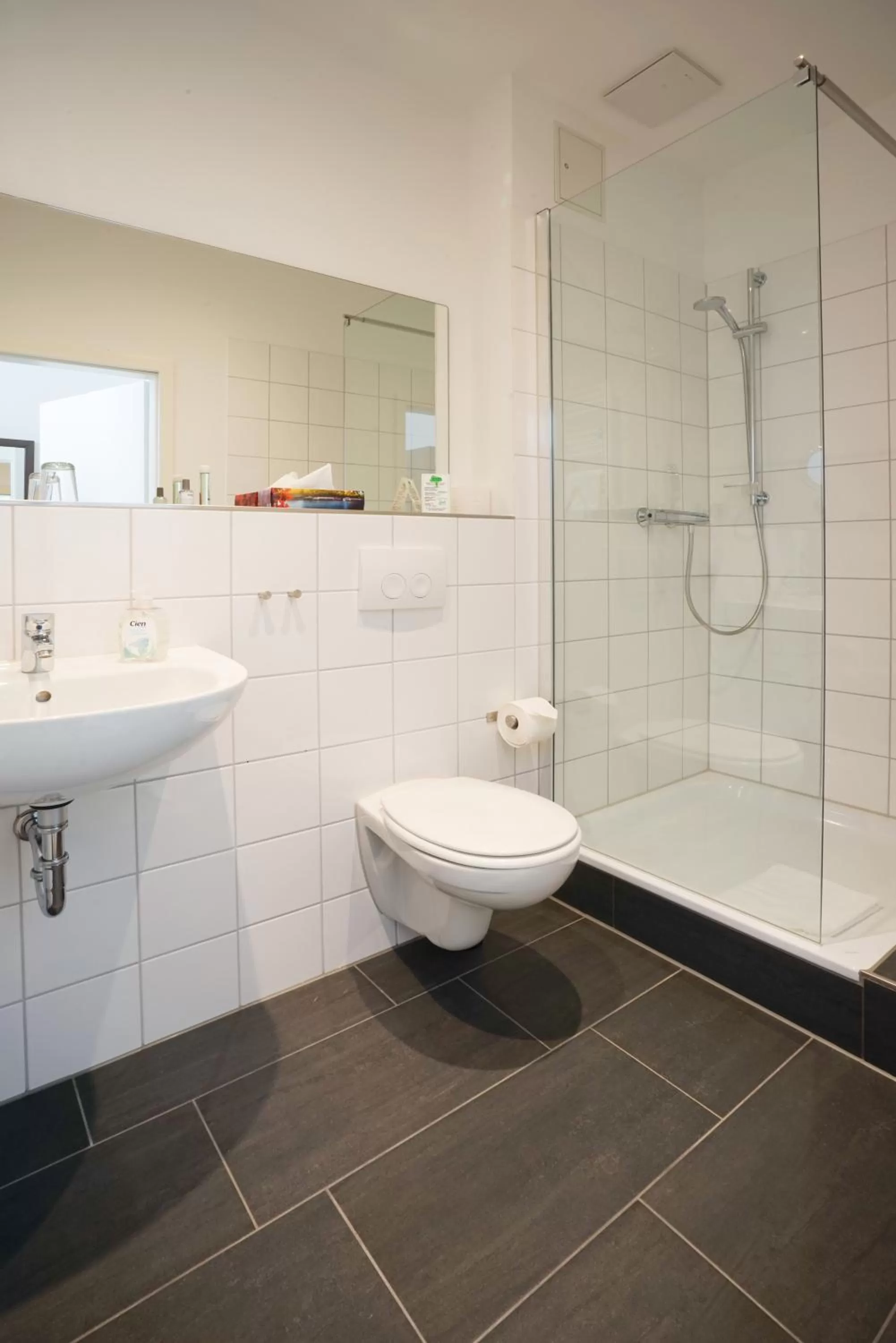 Bathroom in Ruhr Inn Hotel