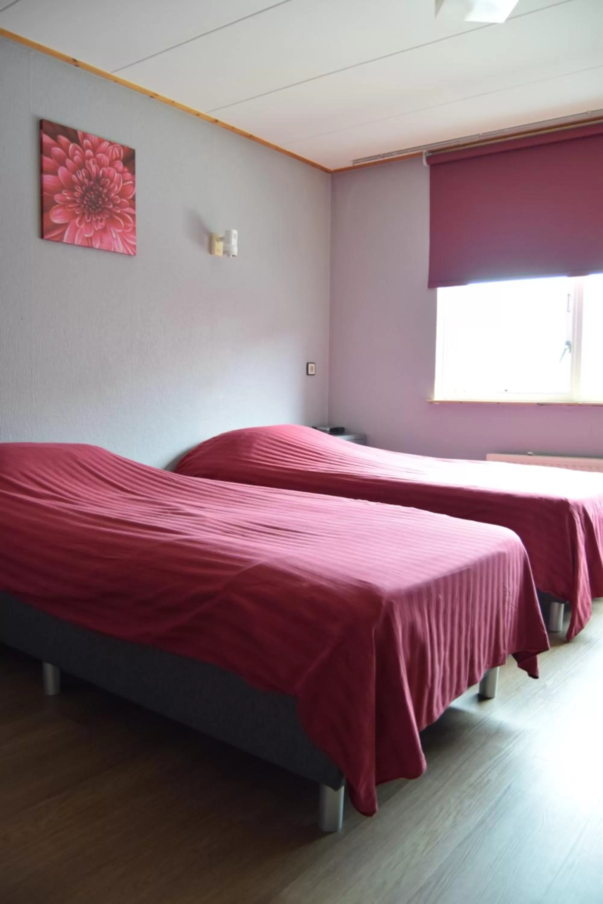 Bed in Hotel Cafe 't Zonneke