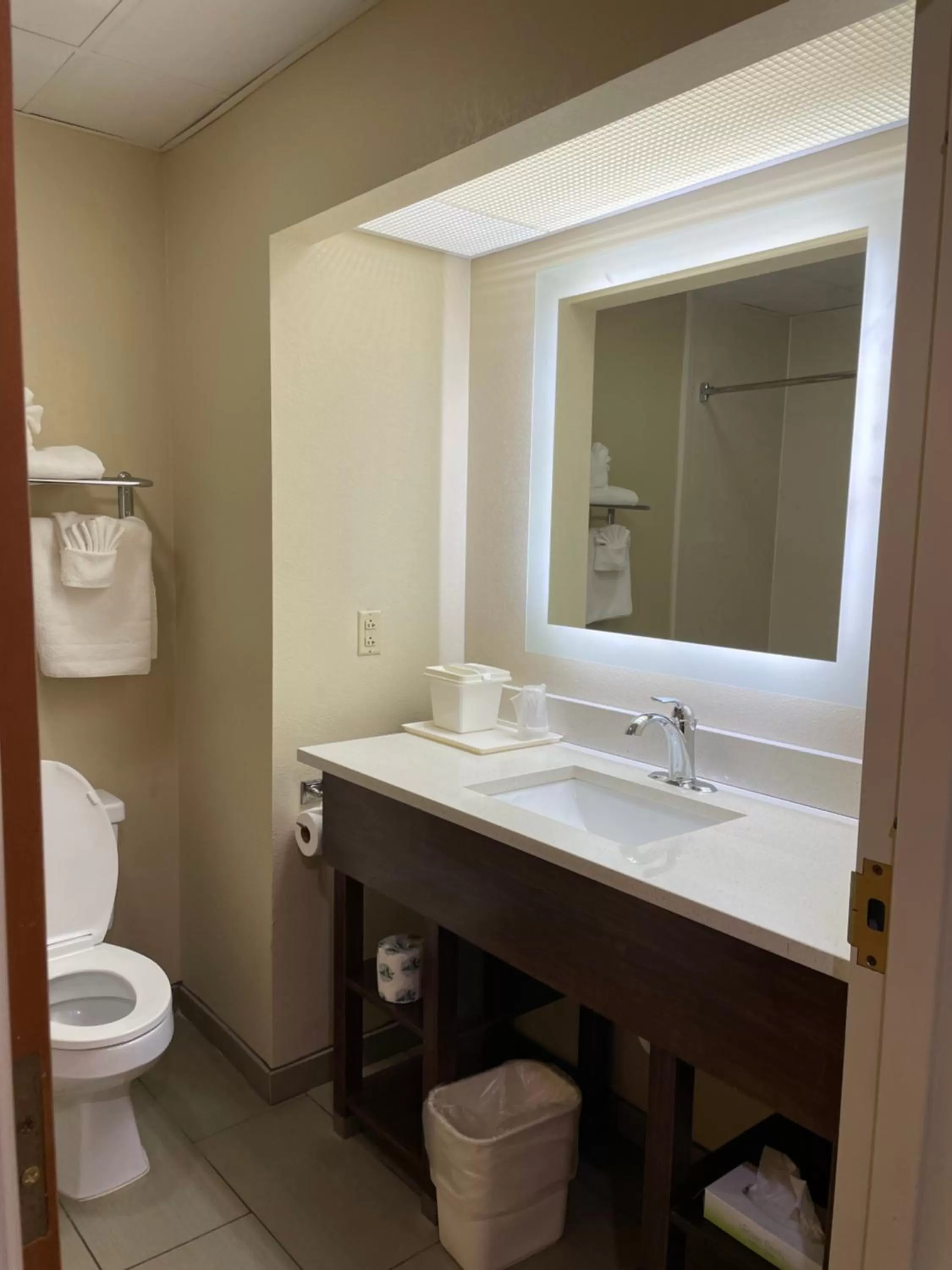 Bathroom in Econo Lodge Newport Smoky Mountains Gateway
