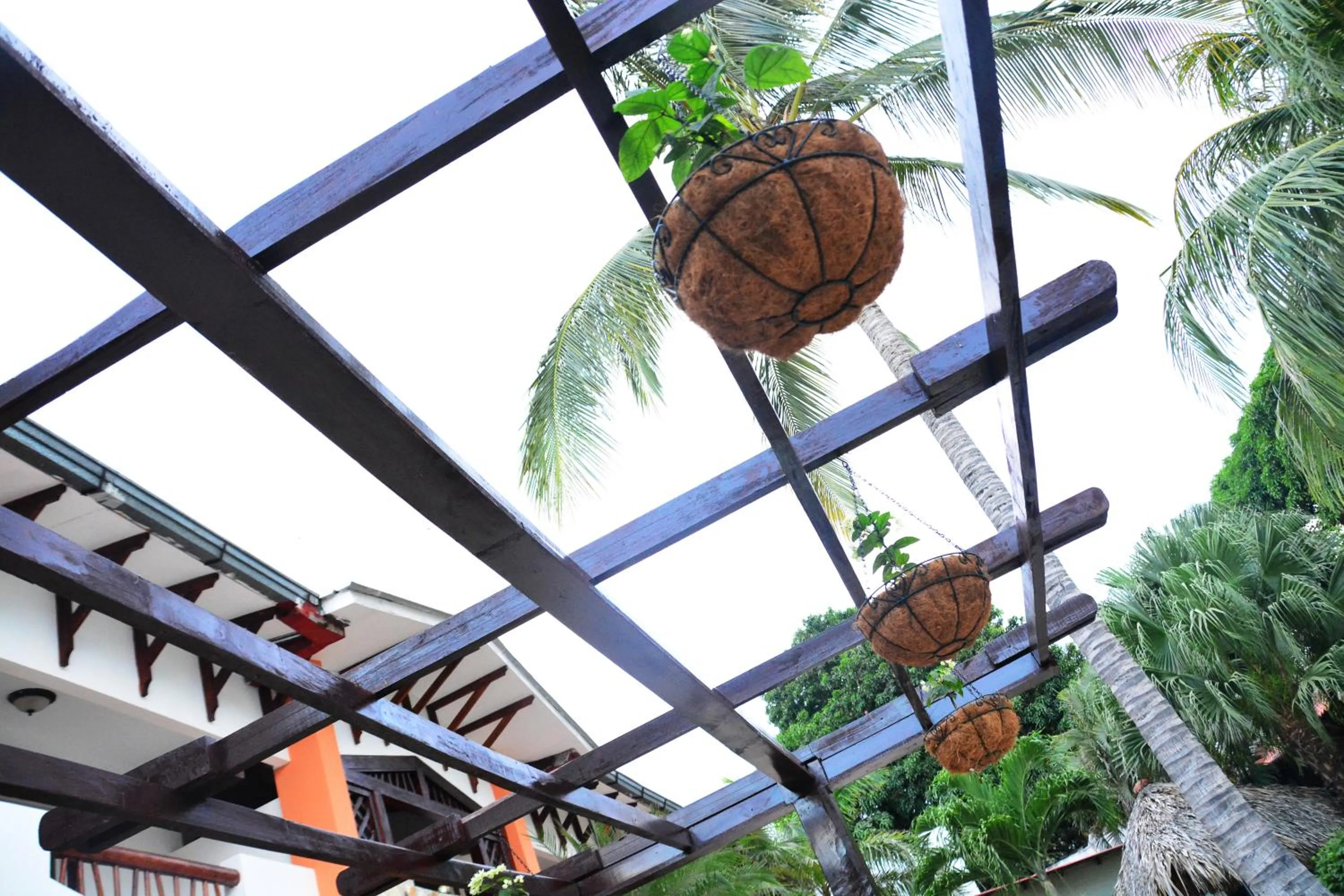 Garden in Hotel Europeo