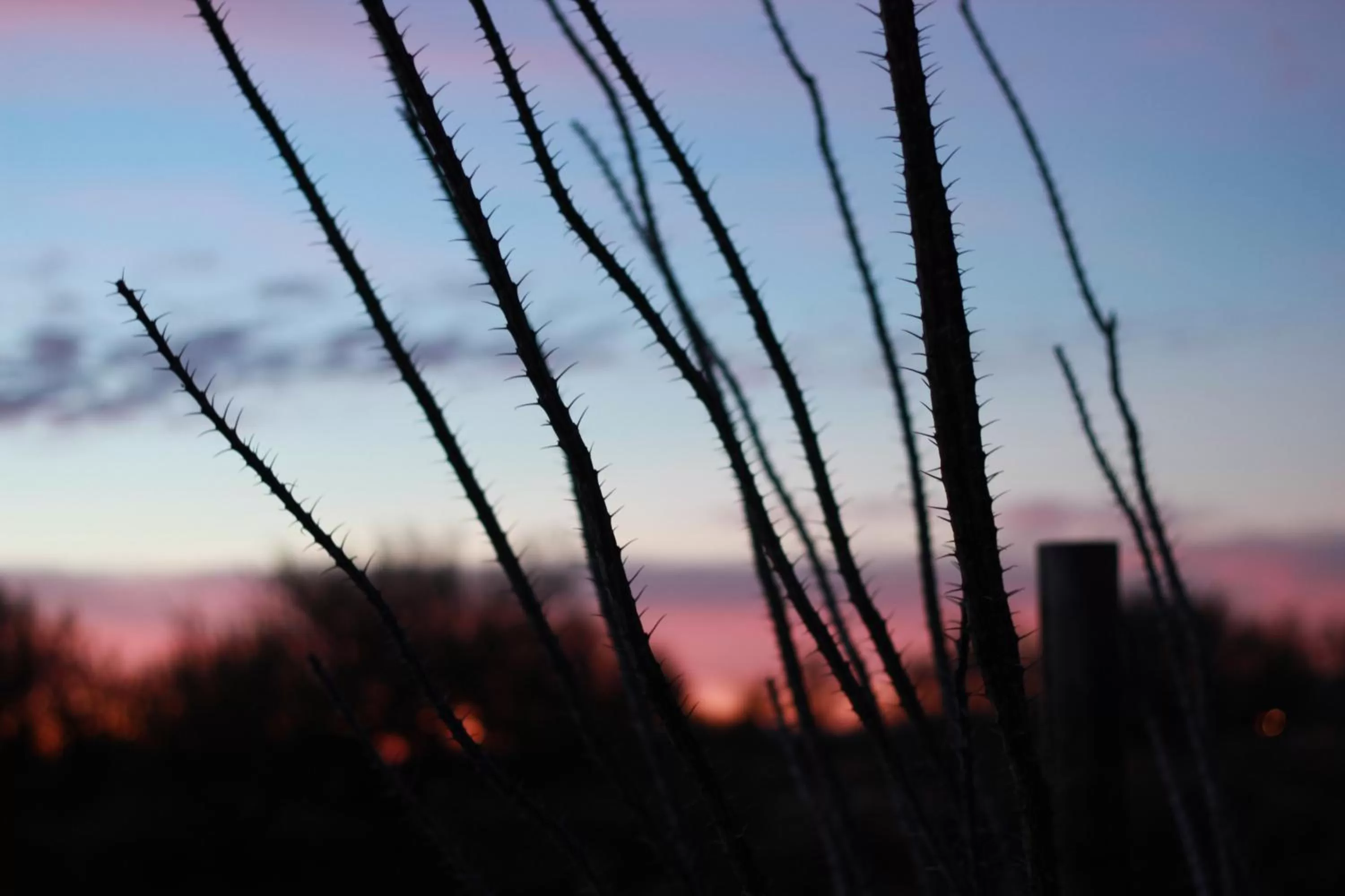 View (from property/room), Sunrise/Sunset in Amado Territory B&B