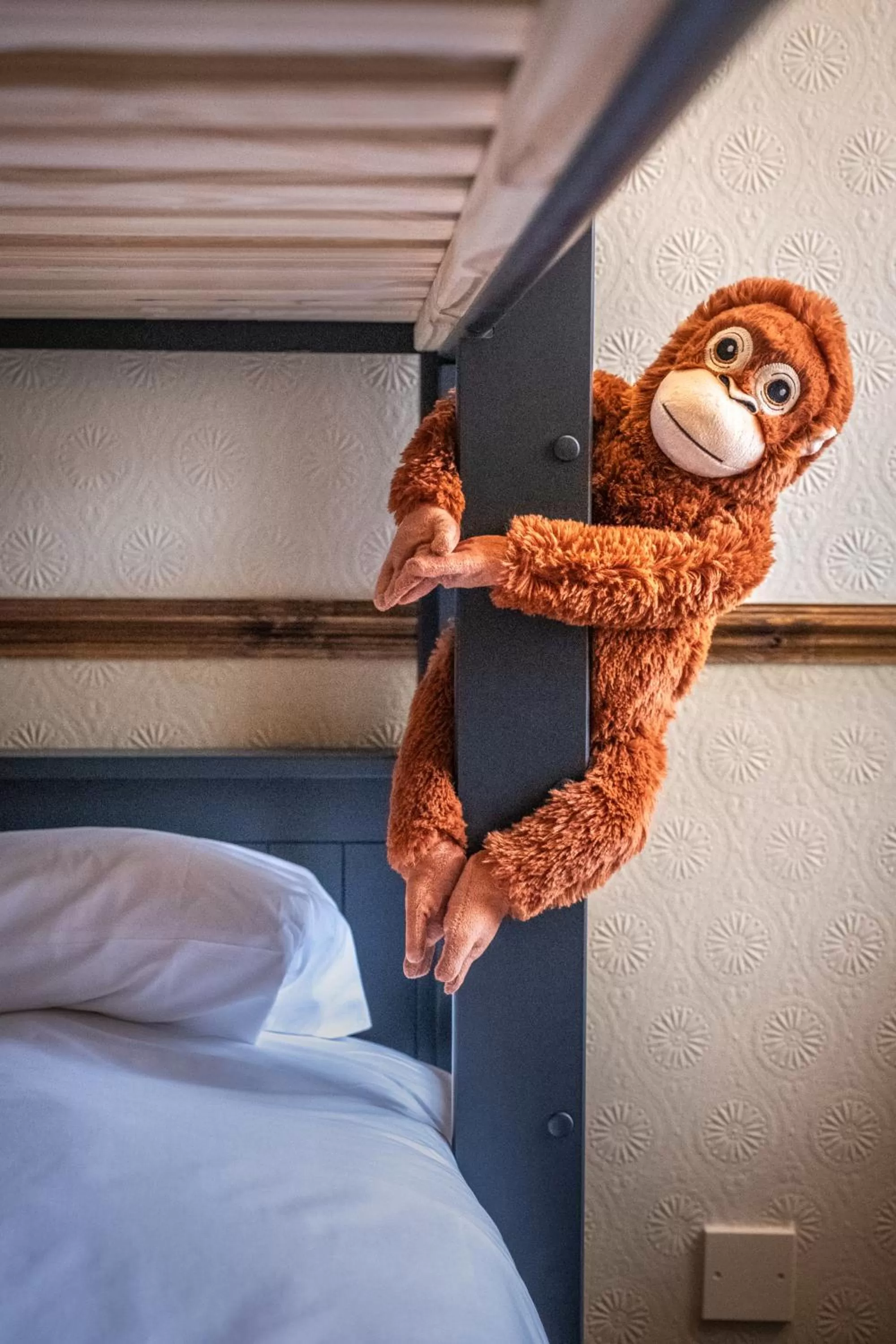 children, Bed in The Feathers Holt