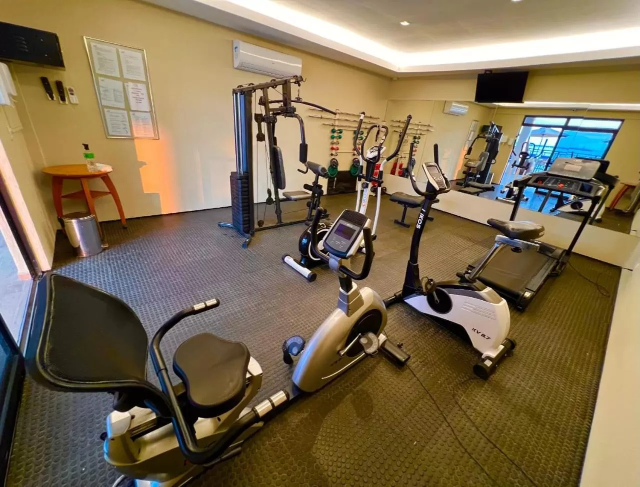 Fitness centre/facilities in Iate Plaza Hotel