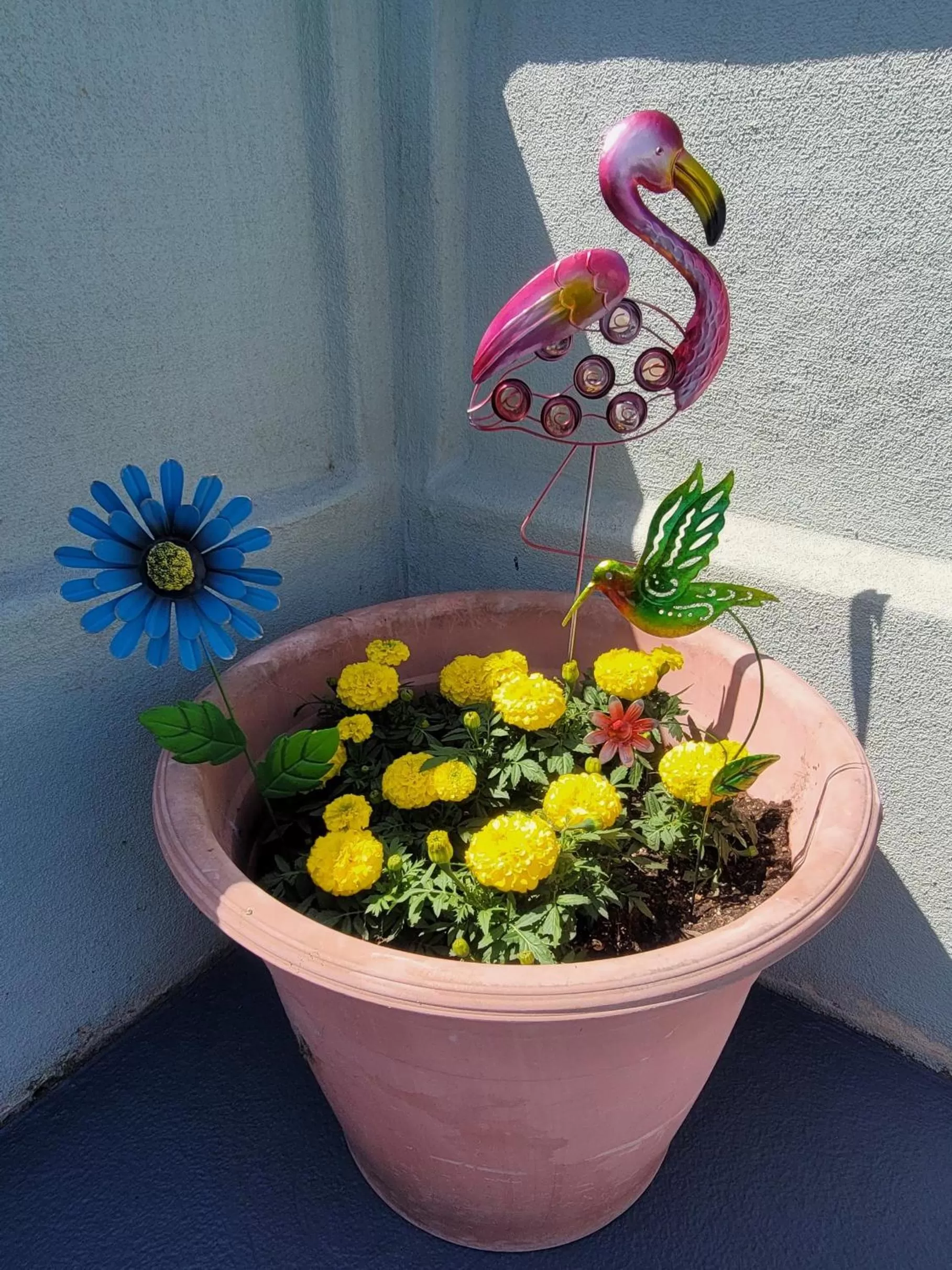 Swimming pool in Beachwalker Inn & Suites