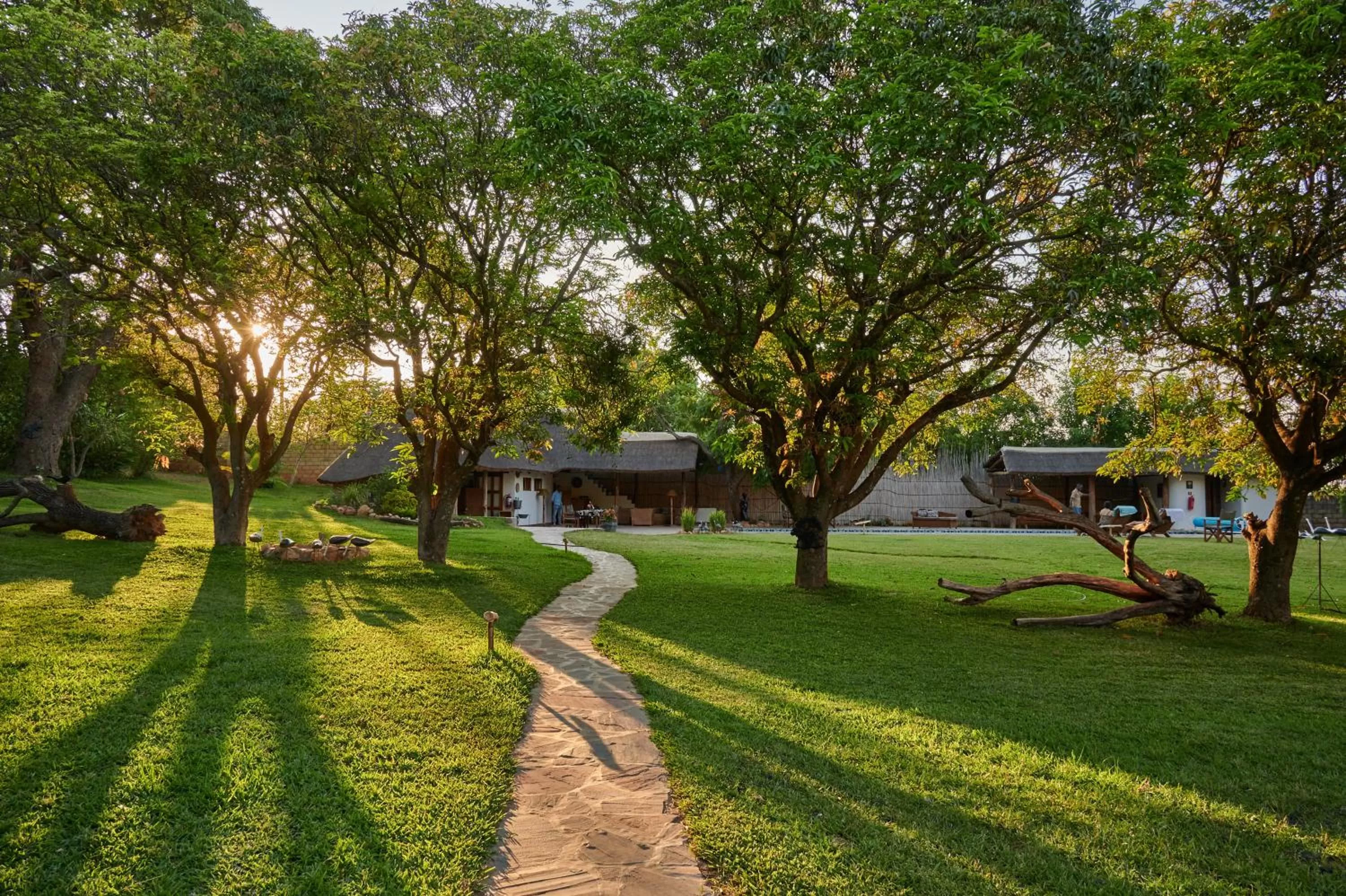 Garden in Wild Dogs Lodge