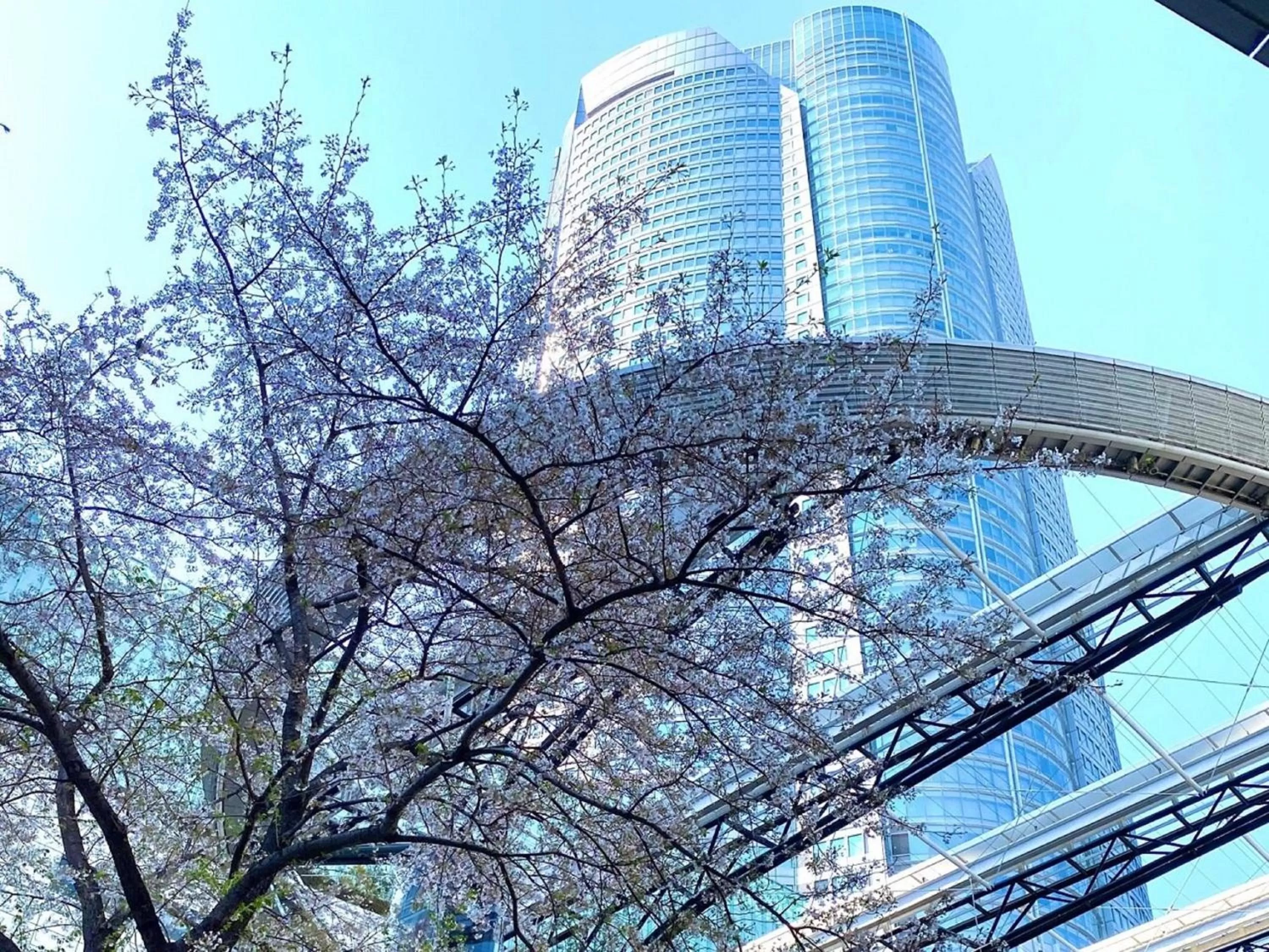 Nearby landmark in APA Hotel Roppongi SIX