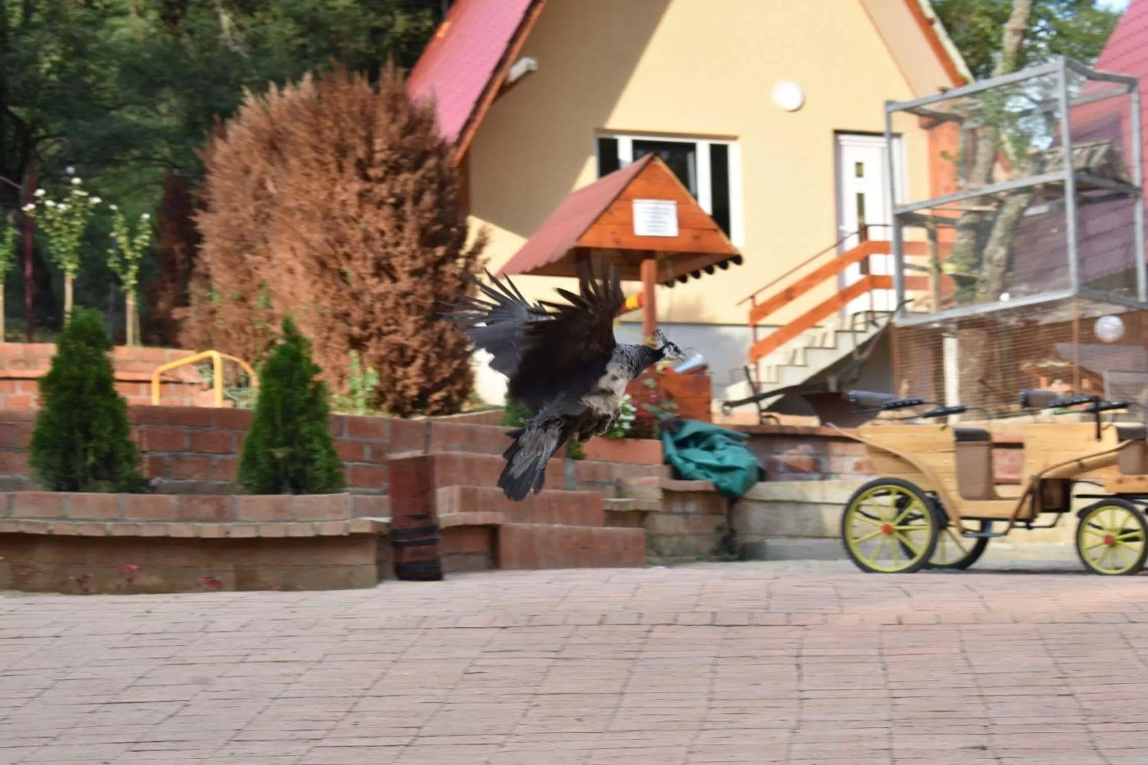 Patio in Etno selo Vile Jefimija, selo Preobrazenje, Vranje