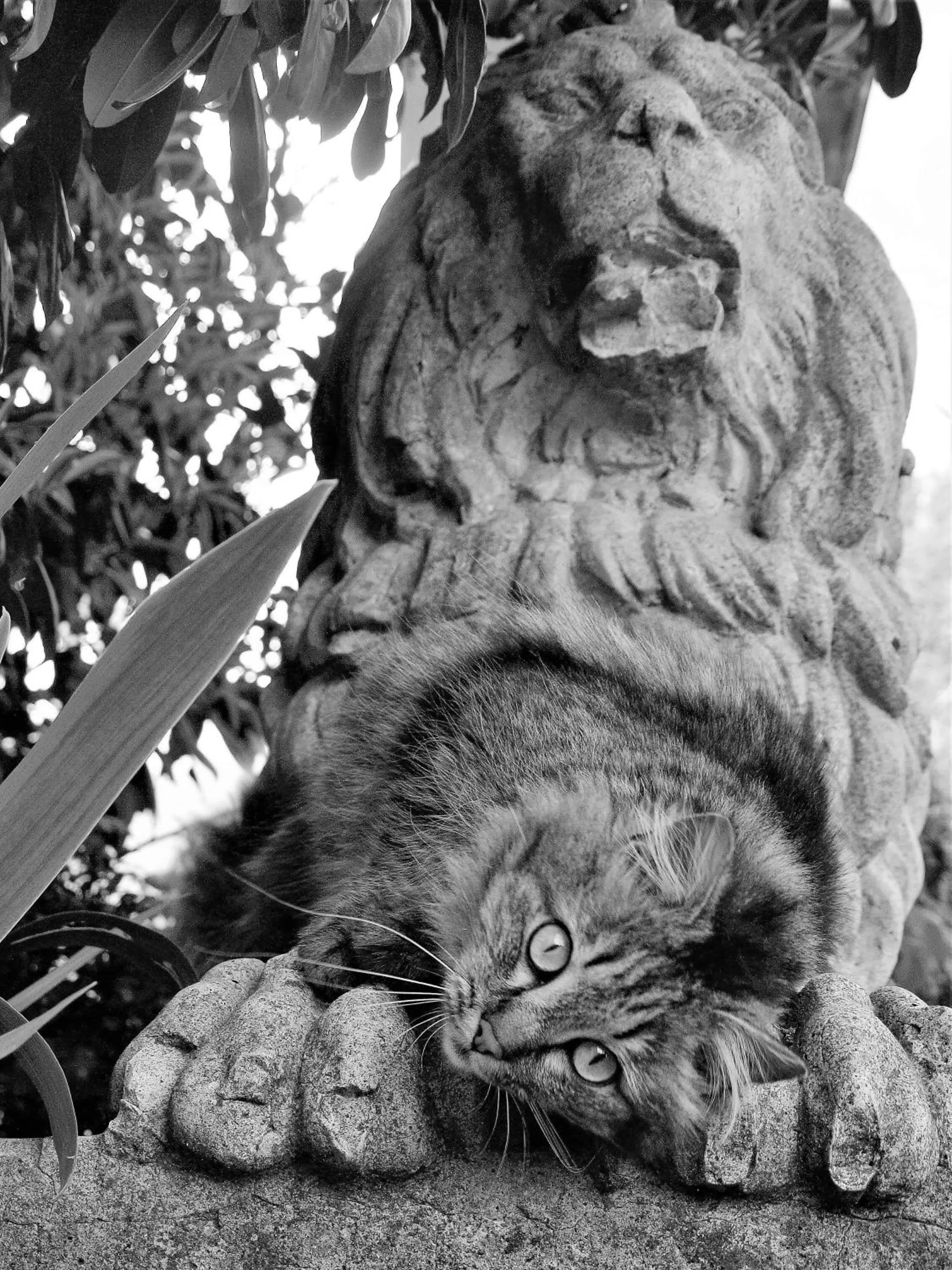 Decorative detail in Armonie di Villa Incontri B&B