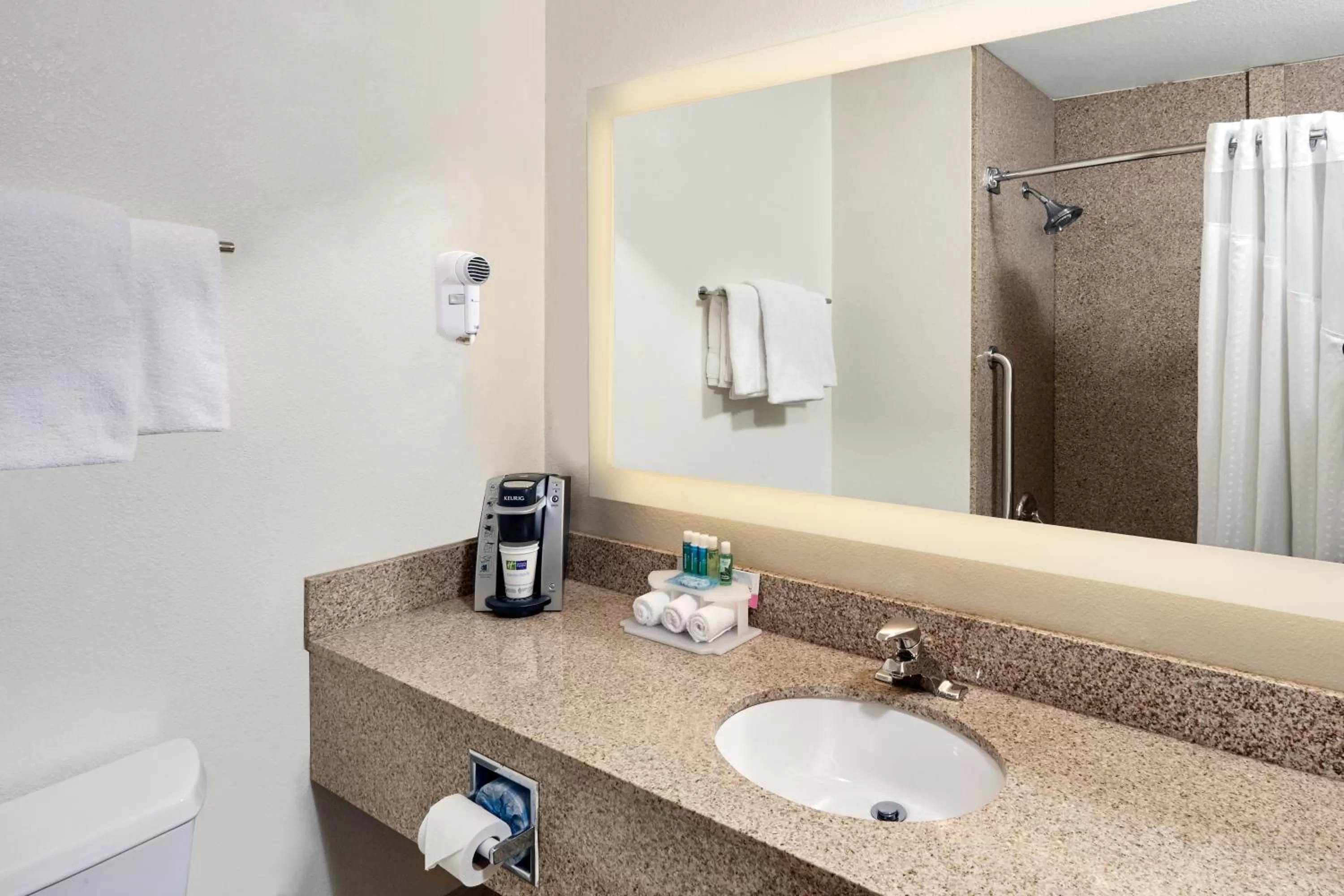 Queen Room with Roll-In Shower - Disability Access - Non-Smoking in Holiday Inn Express Sheboygan-Kohler / I-43, an IHG Hotel