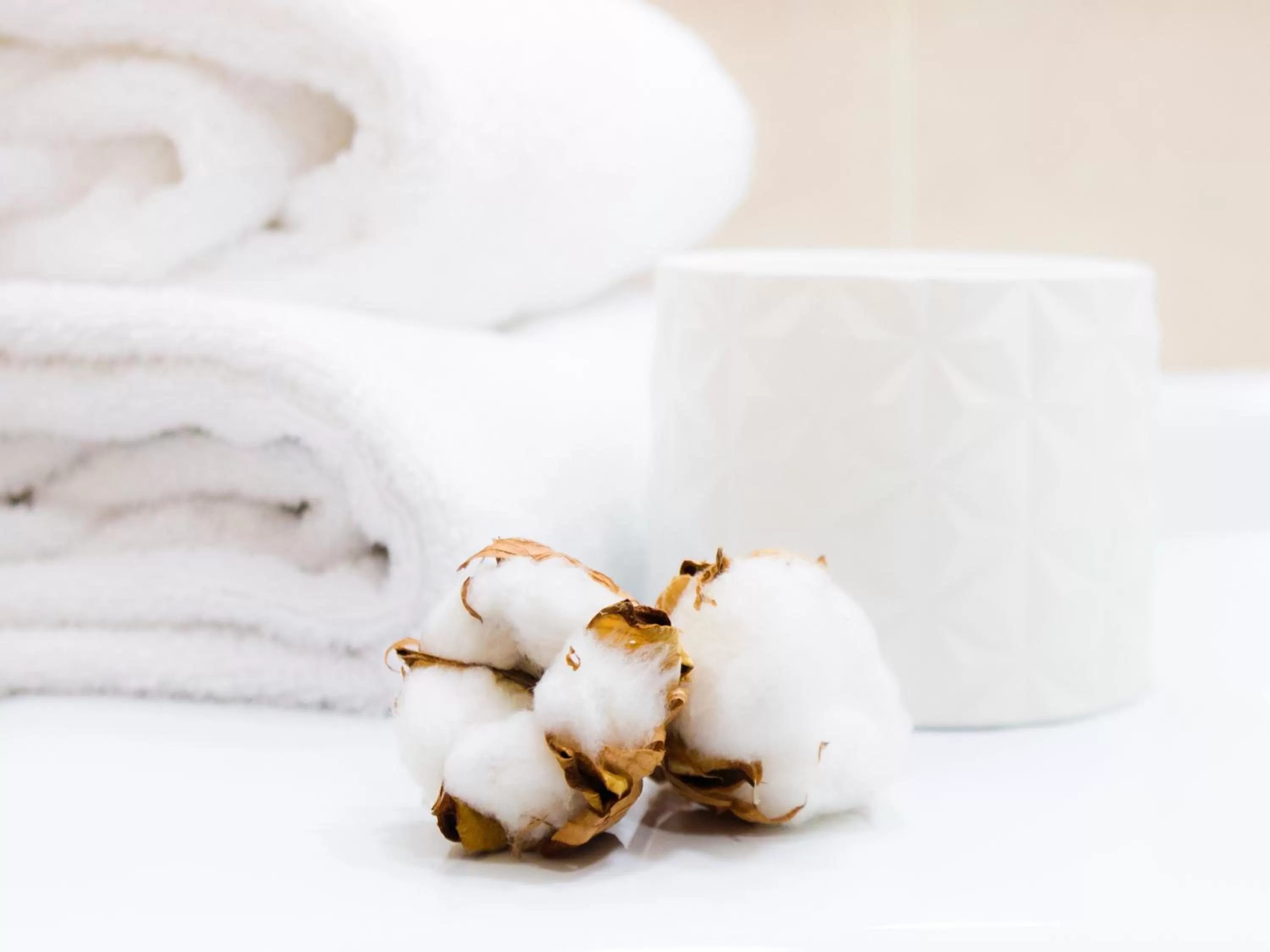 Decorative detail in Hotel Condes de Haro