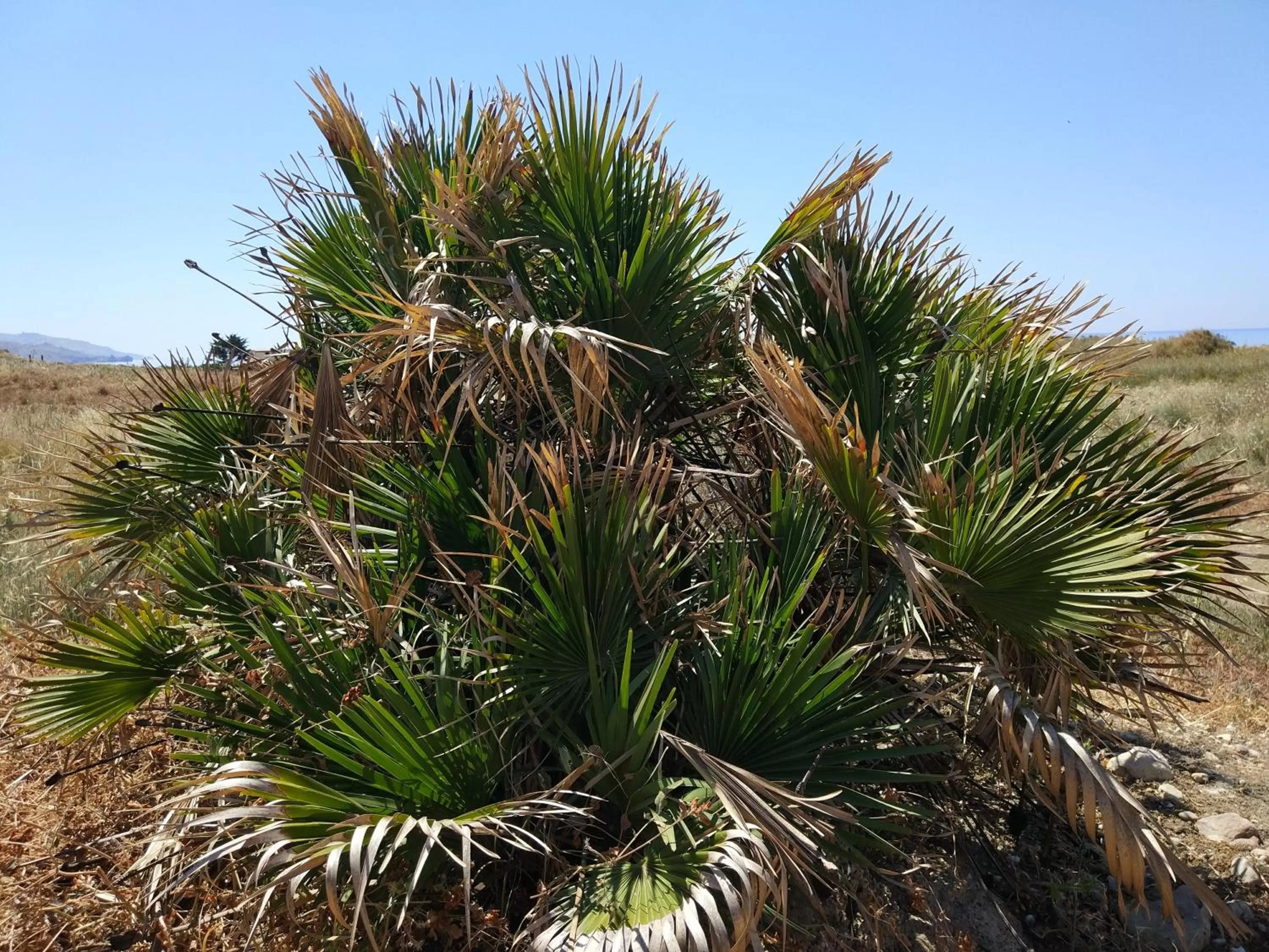 Natural landscape in BnB Sant'Alfonso