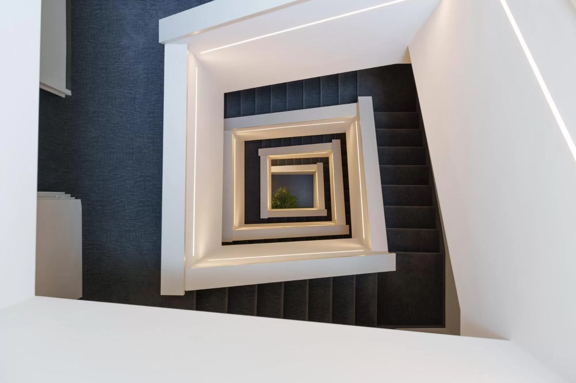 Bird's eye view in Vi Suites