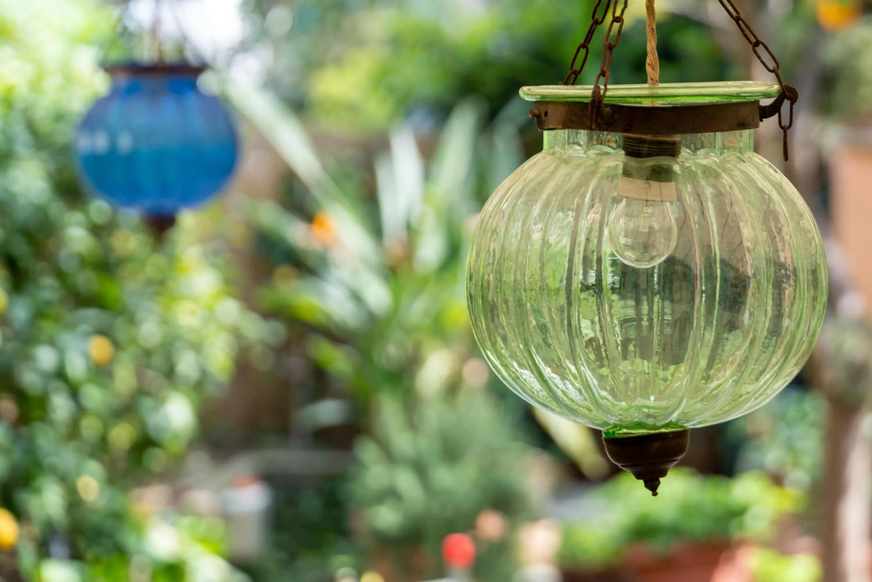 Garden in Albergo Minerva
