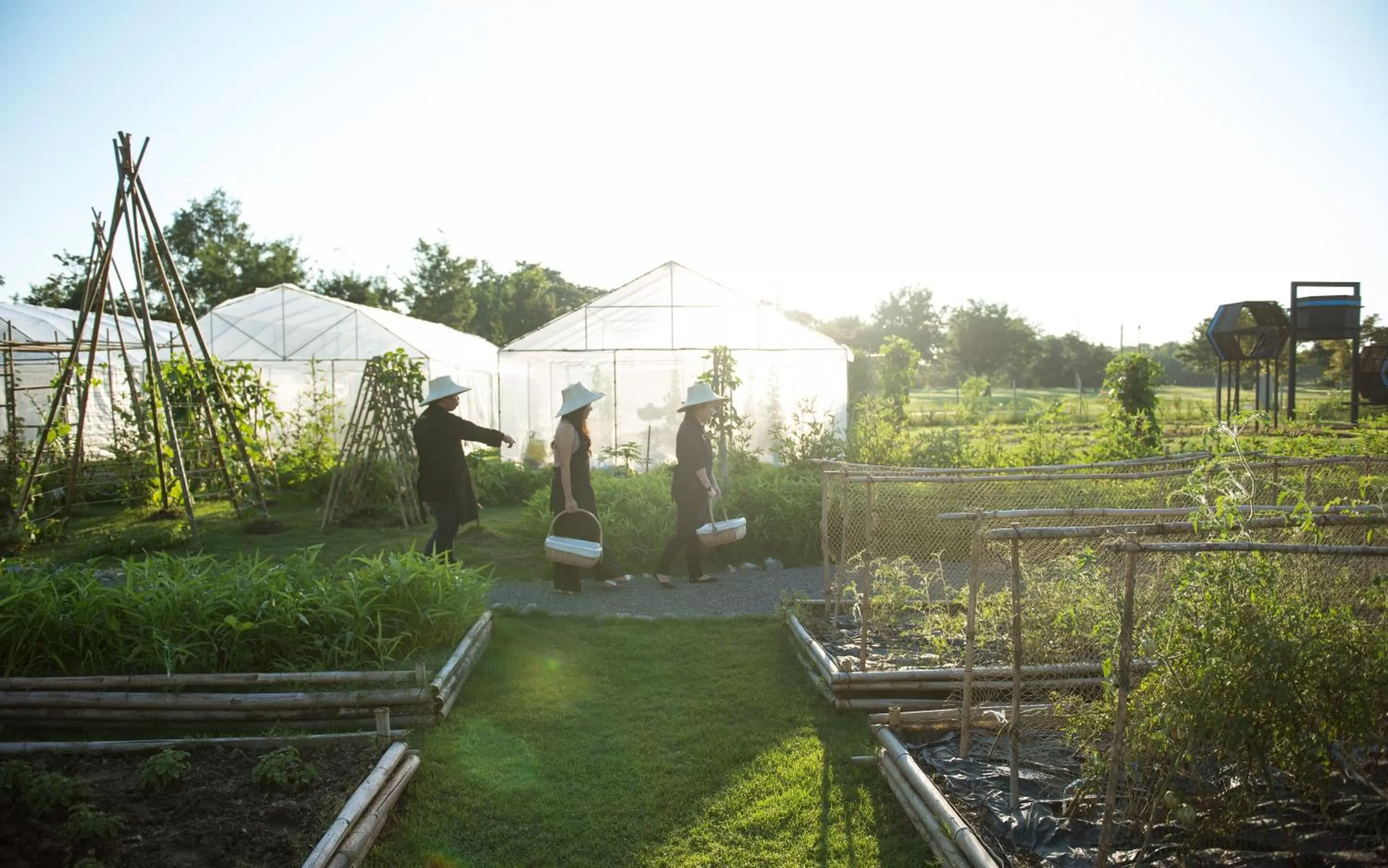 Activities in North Hill City Resort