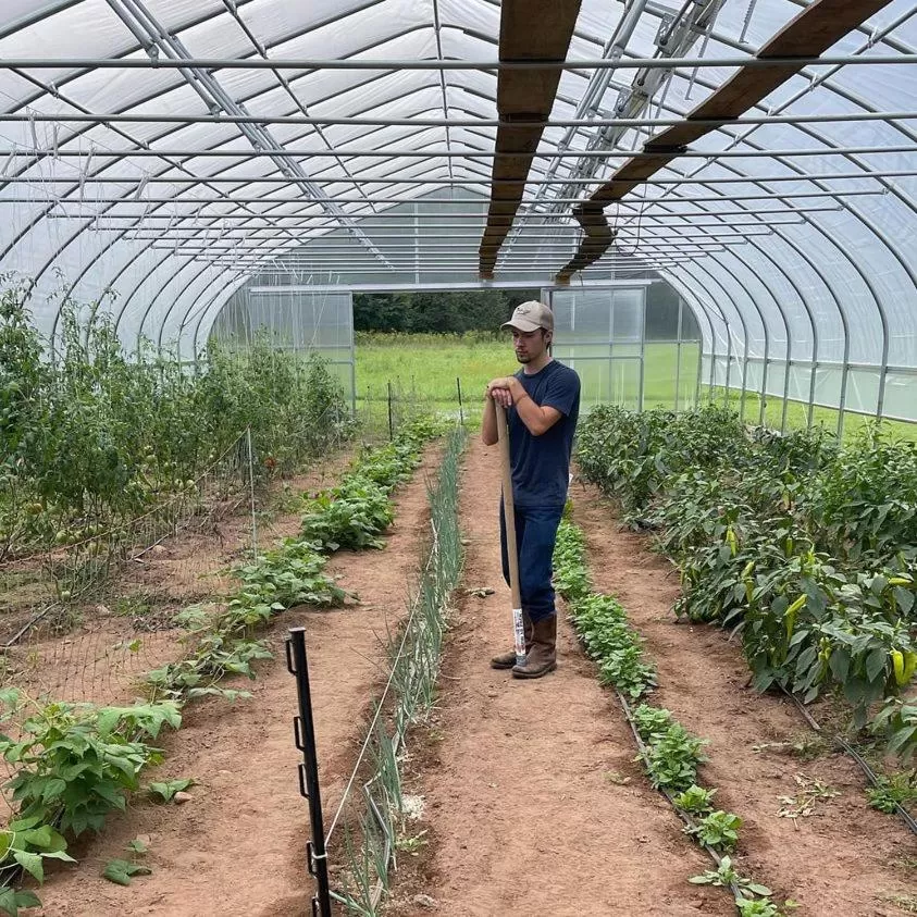 Garden in Laurel River Club Bed & Breakfast or LRCBNB