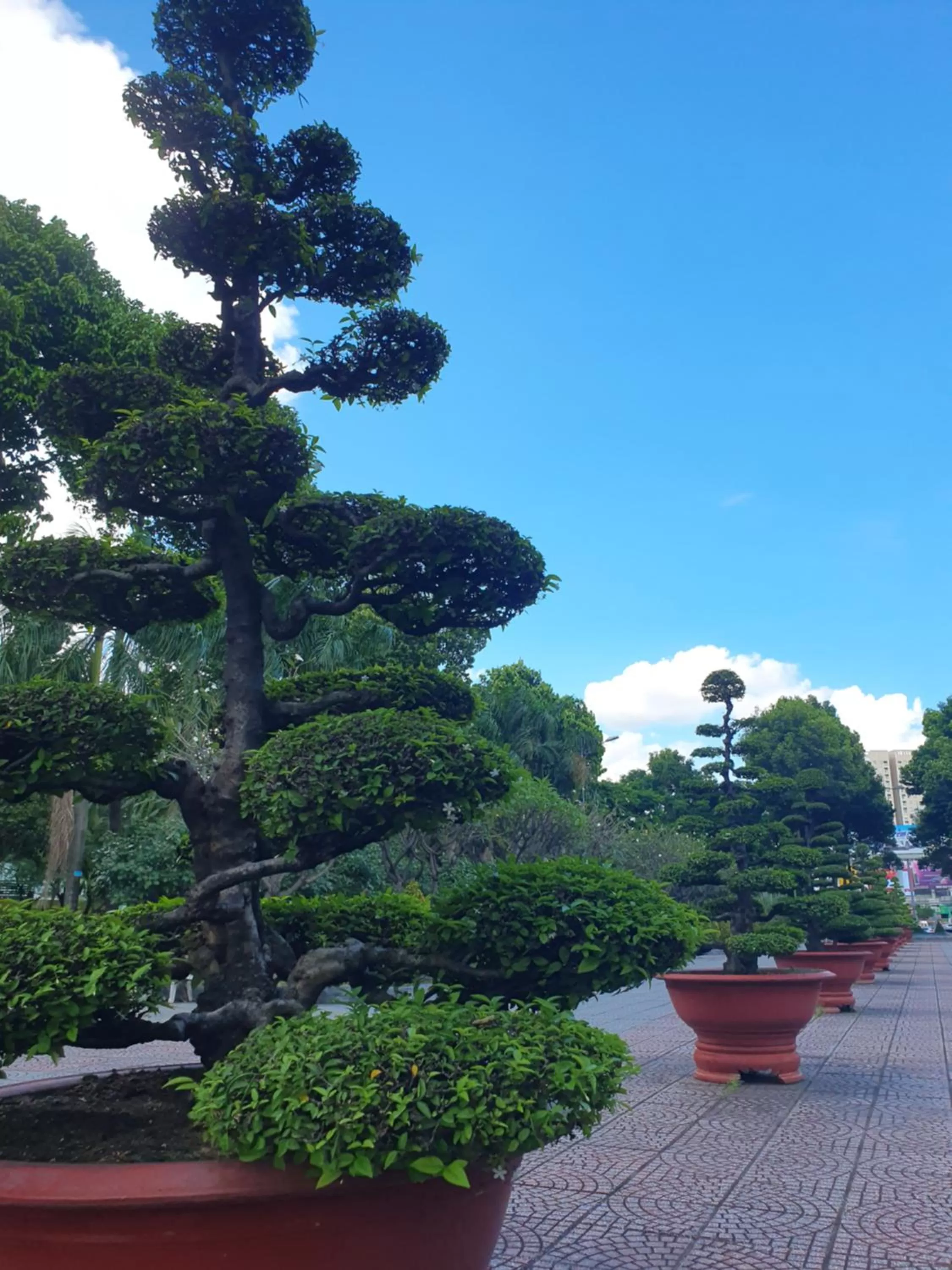 Nearby landmark in LEHA Saigon Hotel Airport