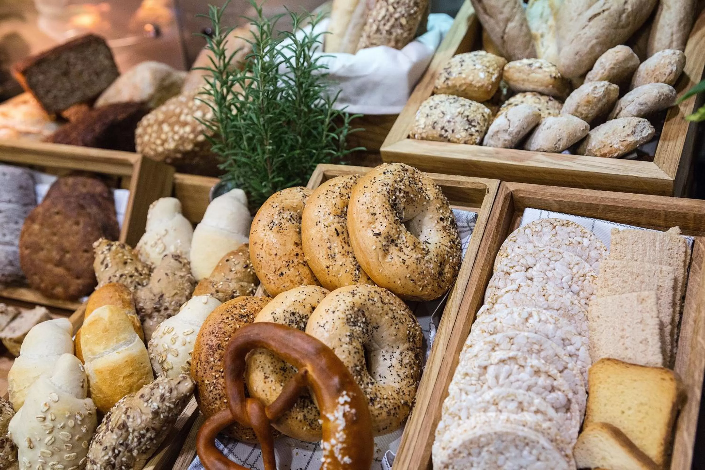 Restaurant/places to eat in Qubus Hotel Kraków