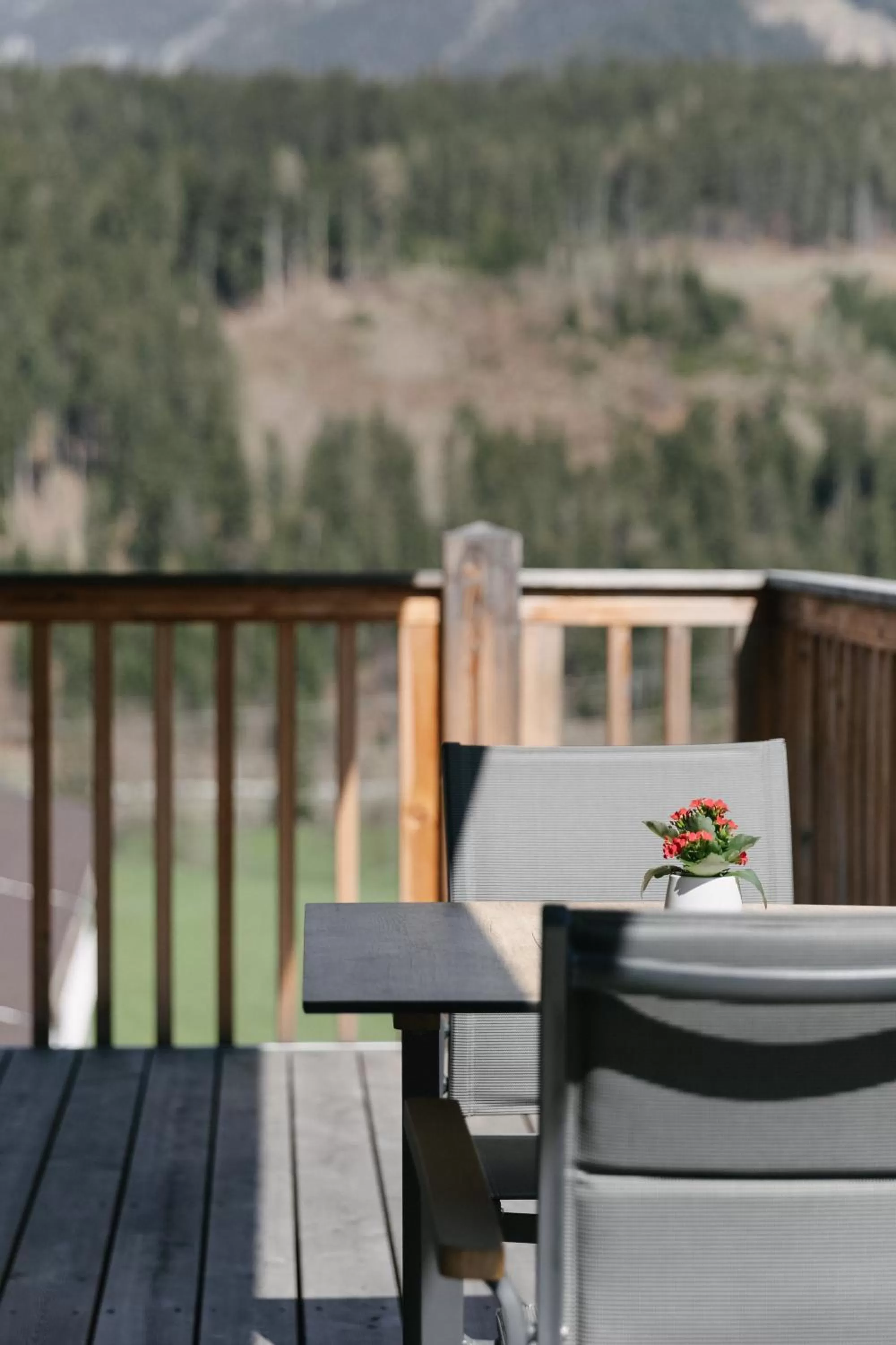 Balcony/Terrace in Apart33 by Apart4you