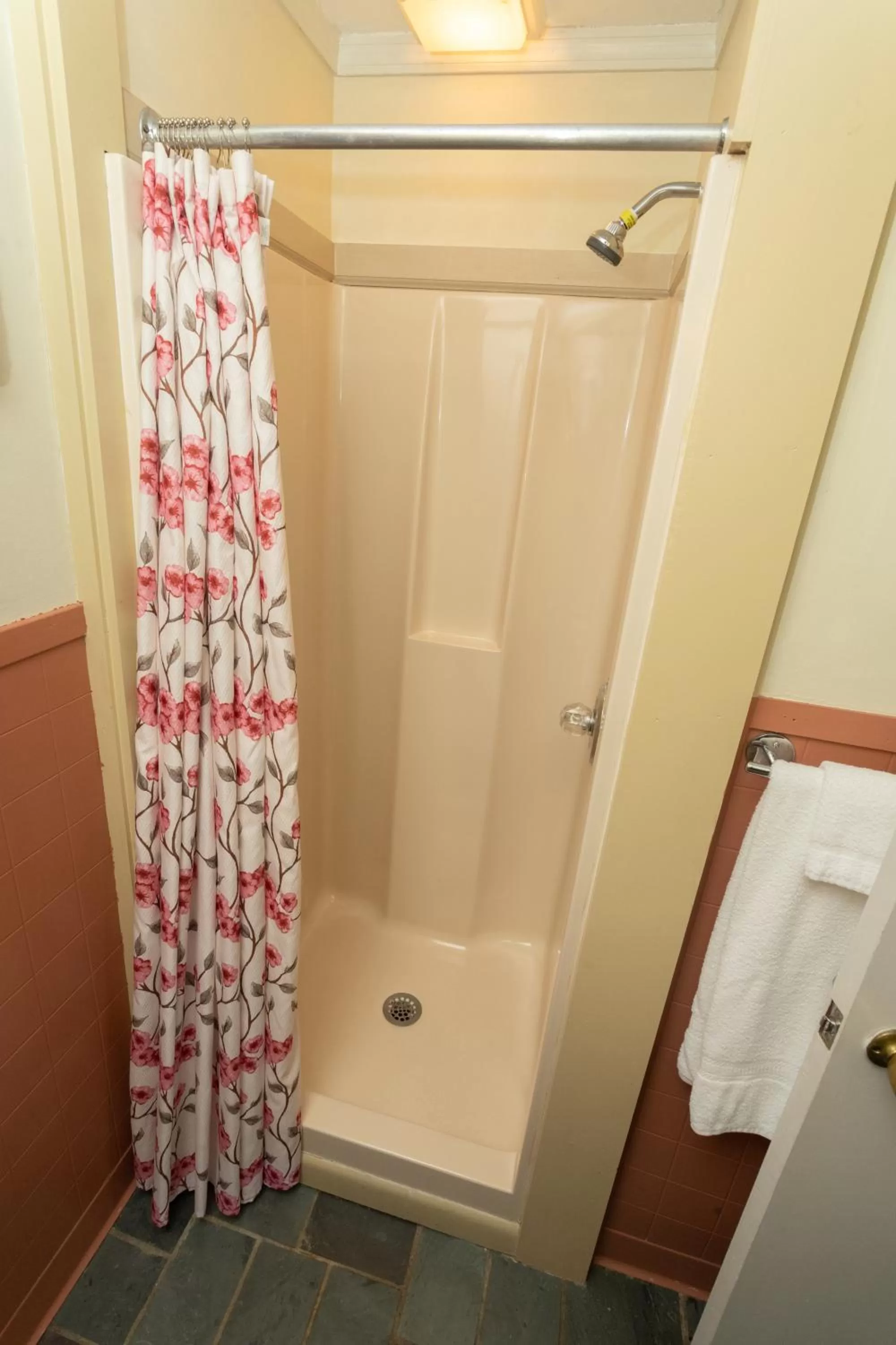 Shower in Governor's Rock Motel