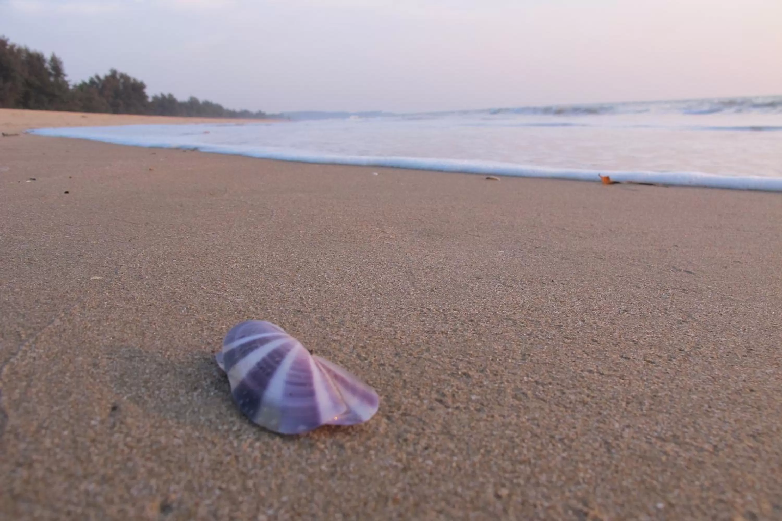 Beach in OmBodhi Retreat