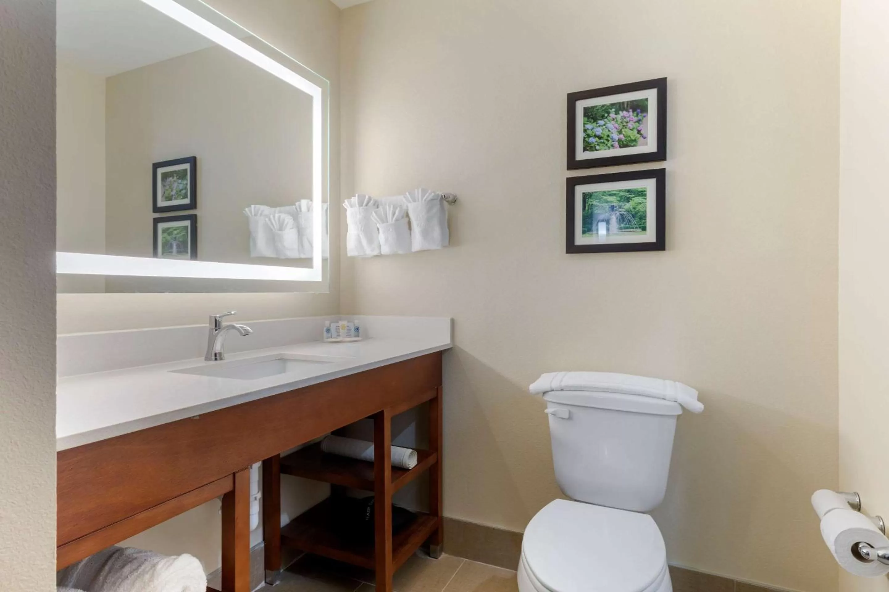 Photo of the whole room in Comfort Suites West Monroe near Ike Hamilton Expo Center