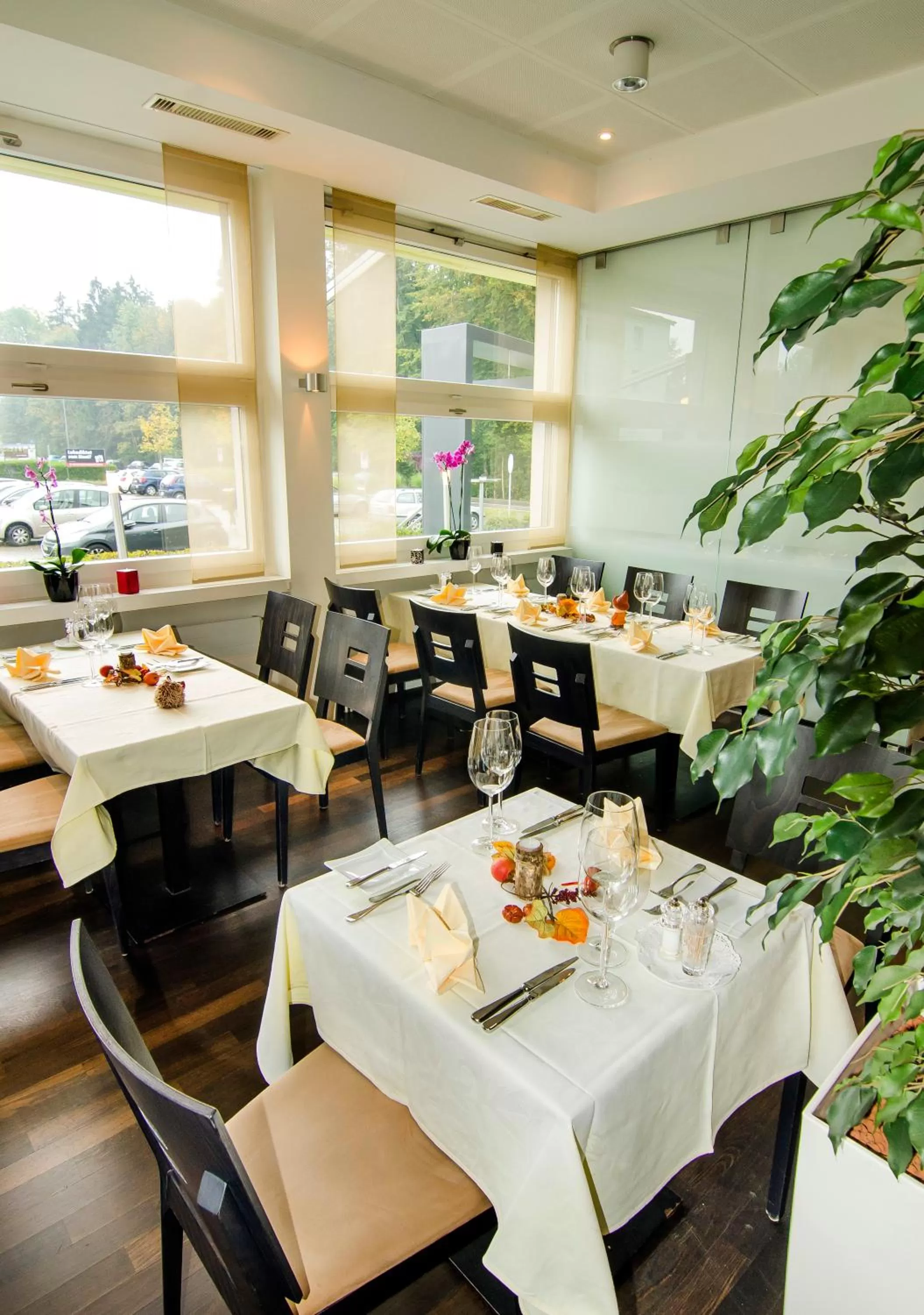 Restaurant/places to eat in Hotel Thorenberg