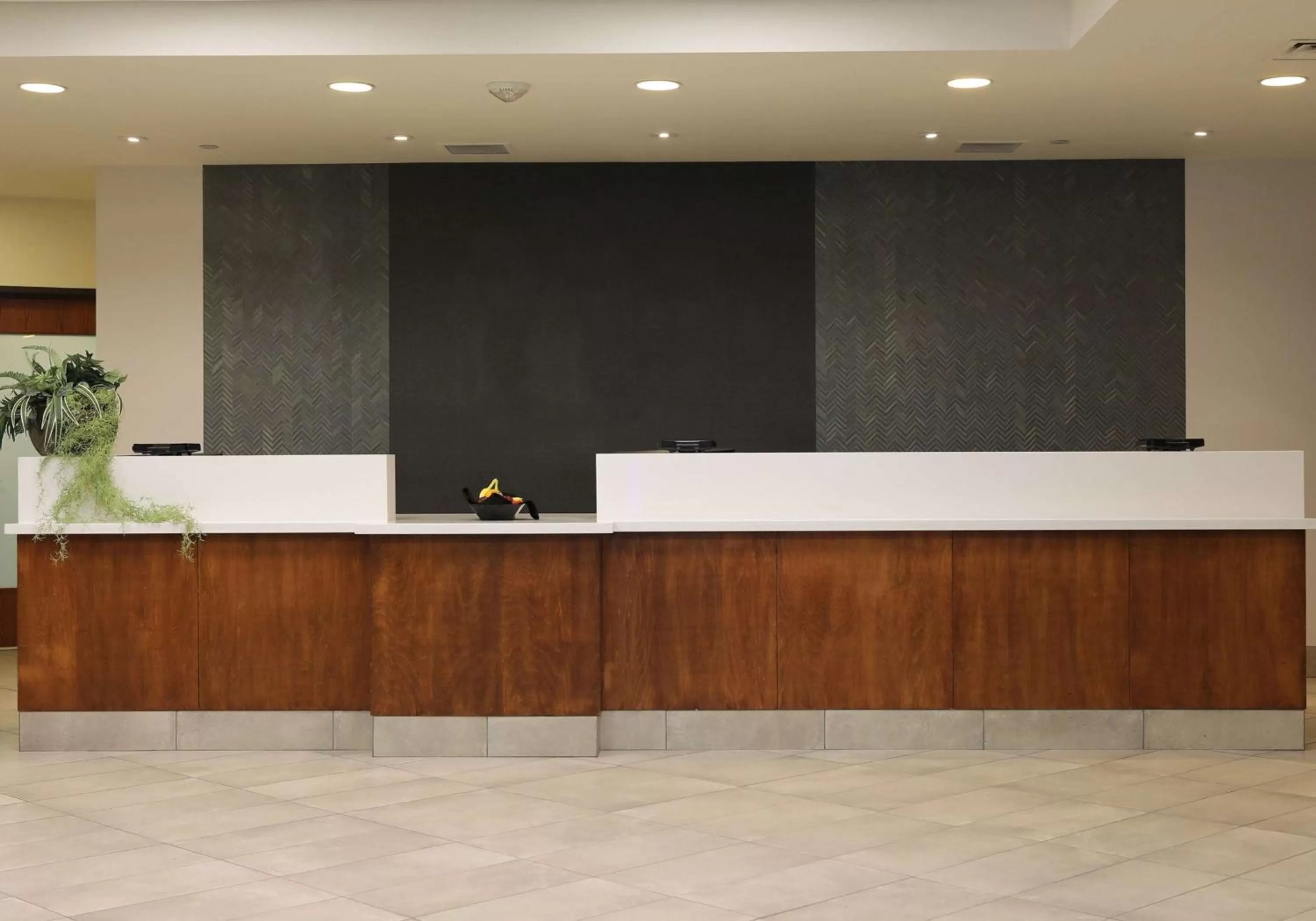 Lobby or reception in Doubletree By Hilton Omaha Southwest, Ne
