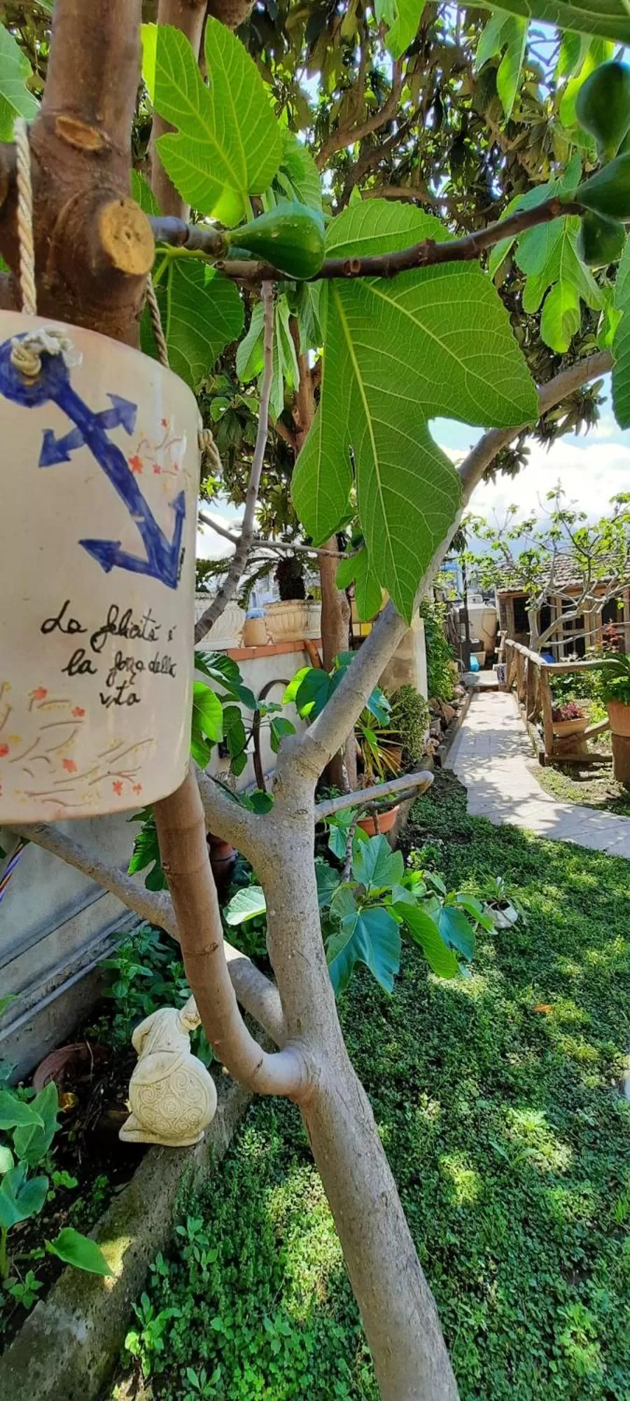 Property building in Buonocore Rooms